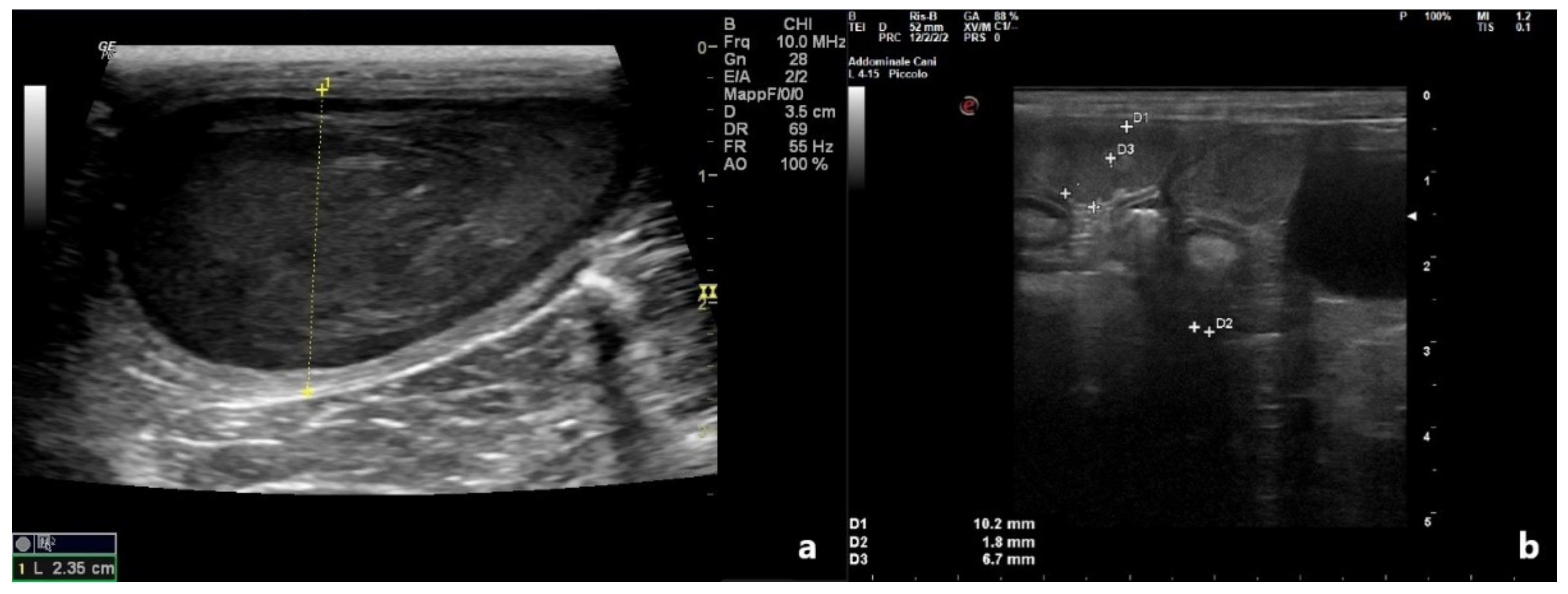 Vetsci 09 00517 g001