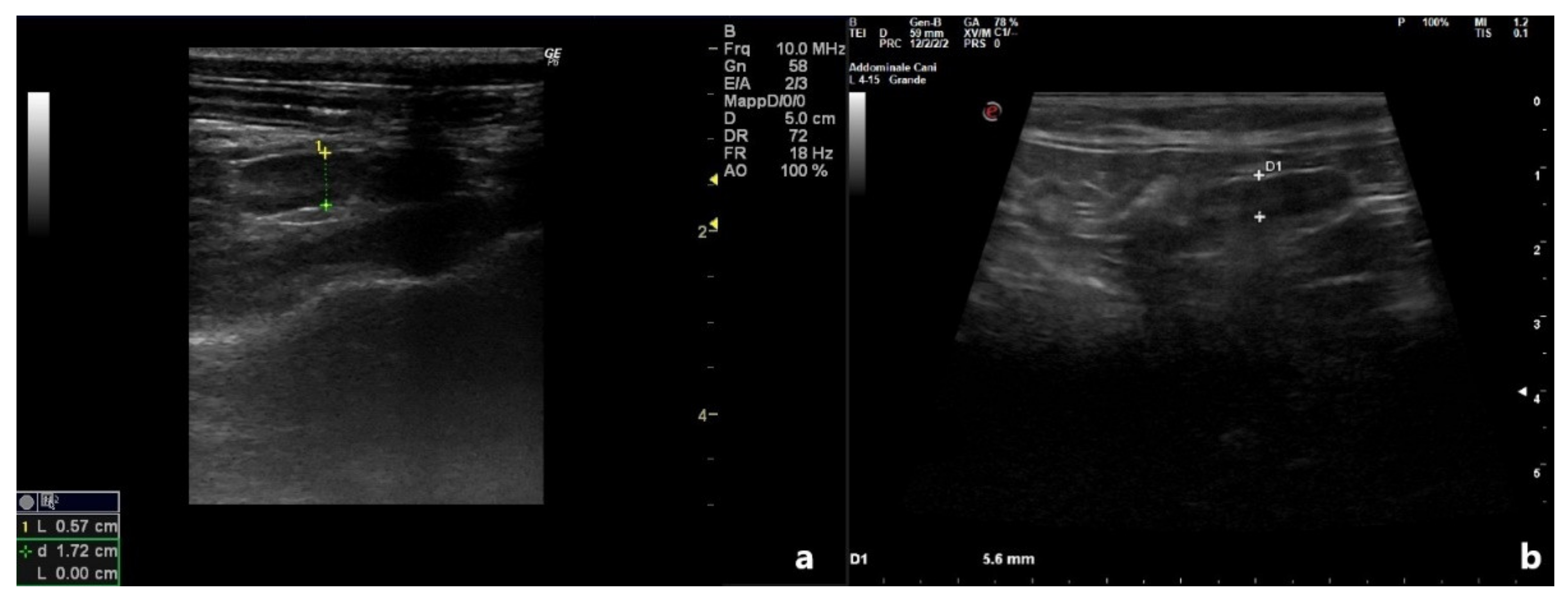 Vetsci 09 00517 g002