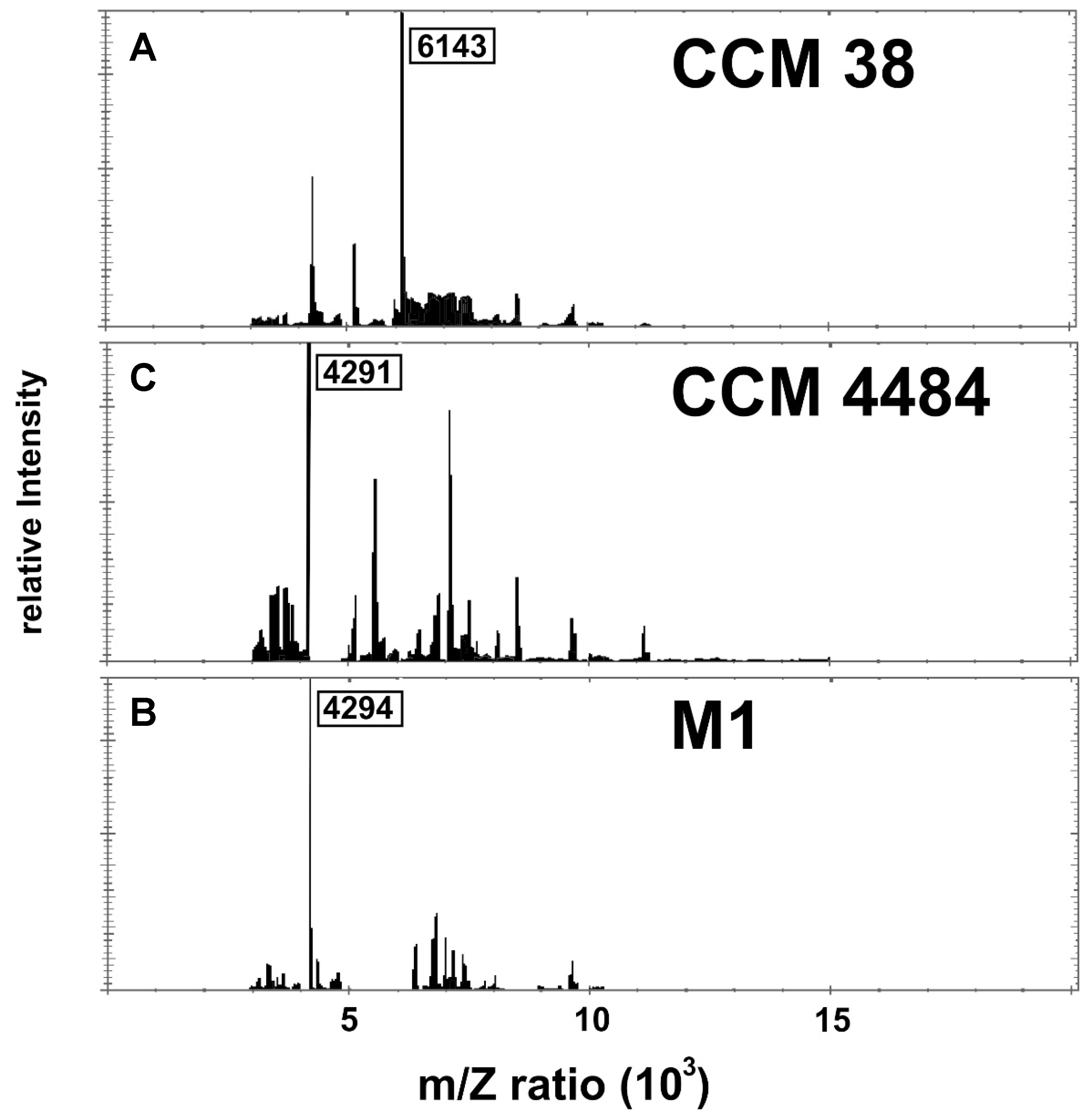Vetsci 09 00521 g002