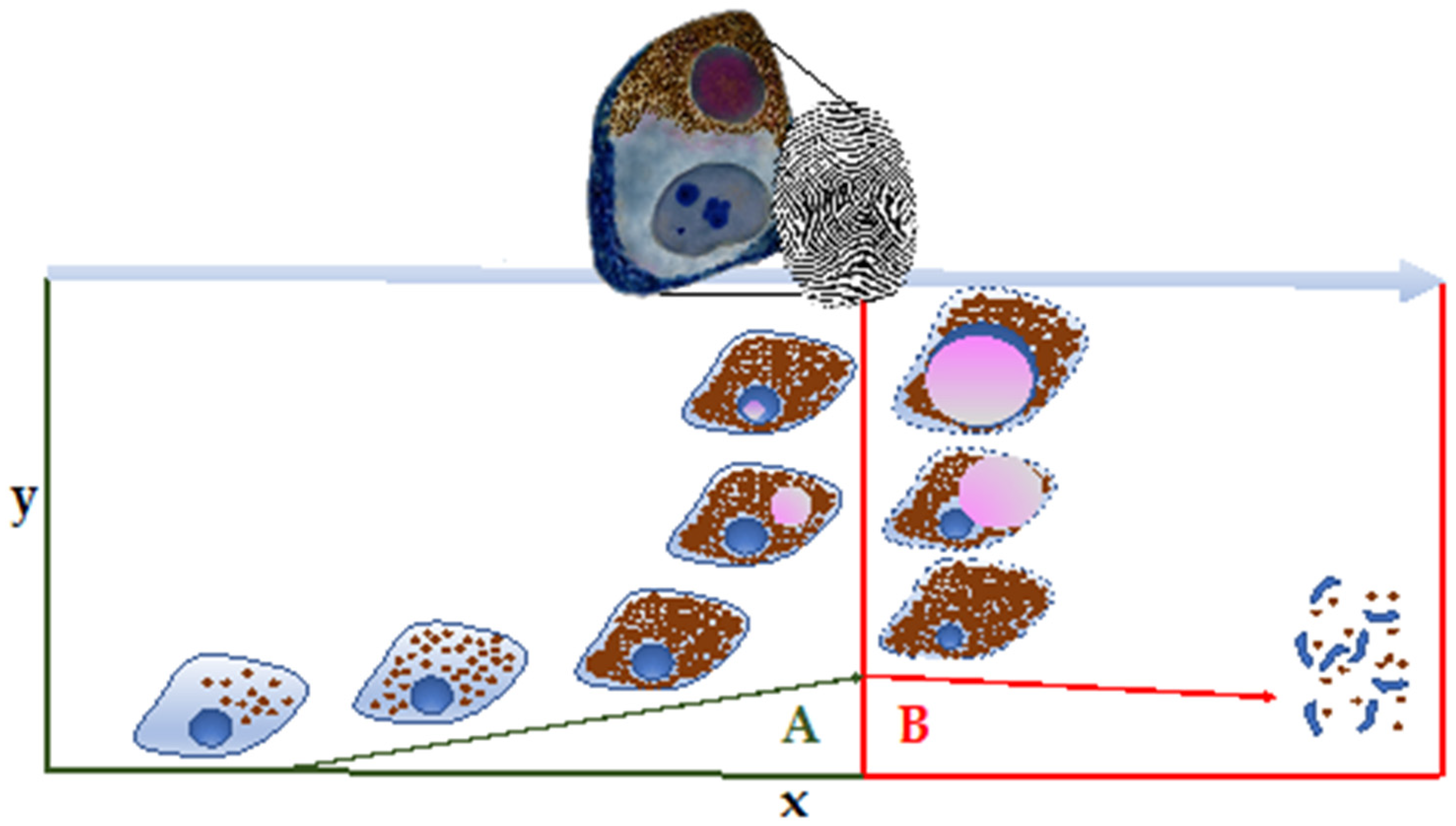 Vetsci 09 00525 g003 550