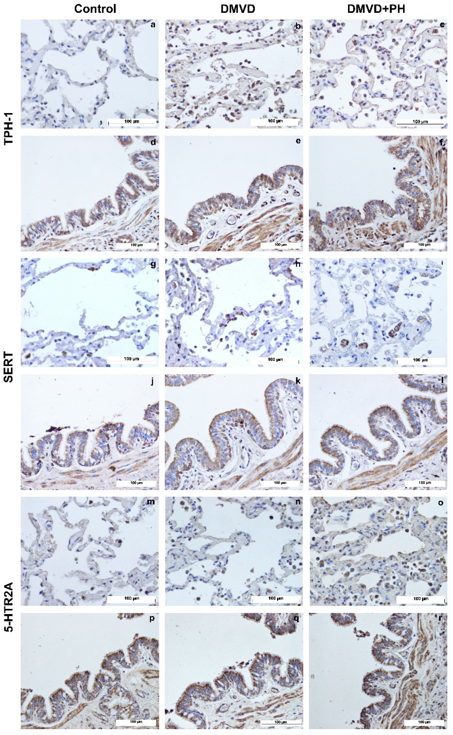 Vetsci 09 00530 g002 Vetsci 09 00530 g002