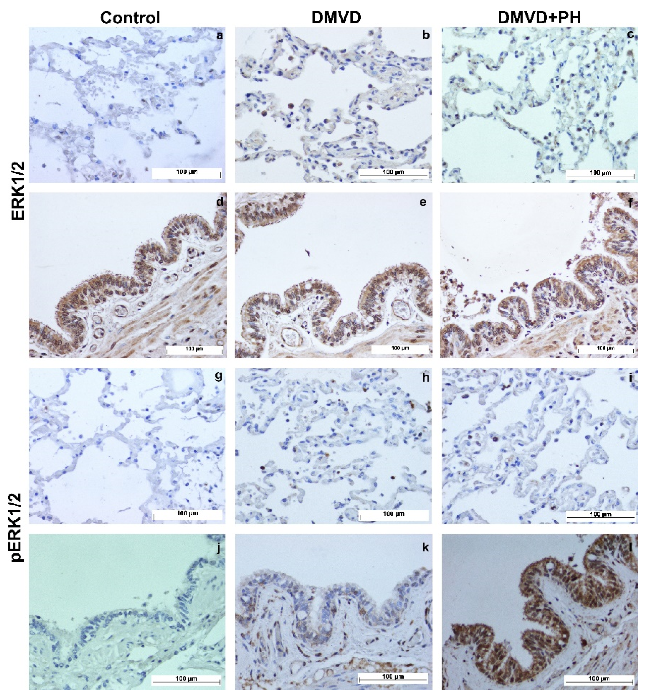 Vetsci 09 00530 g004 Vetsci 09 00530 g004