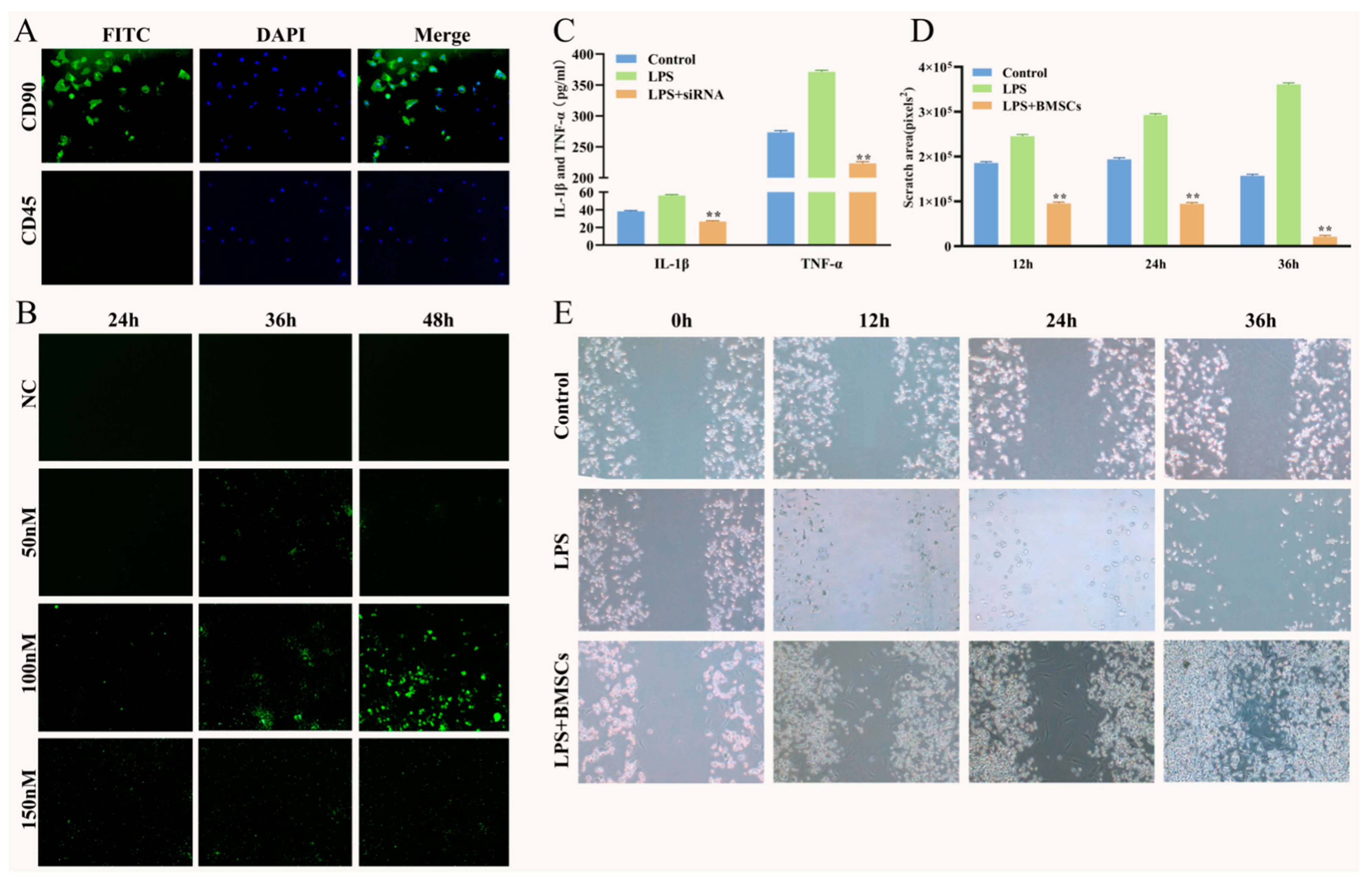 Vetsci 09 00531 g001