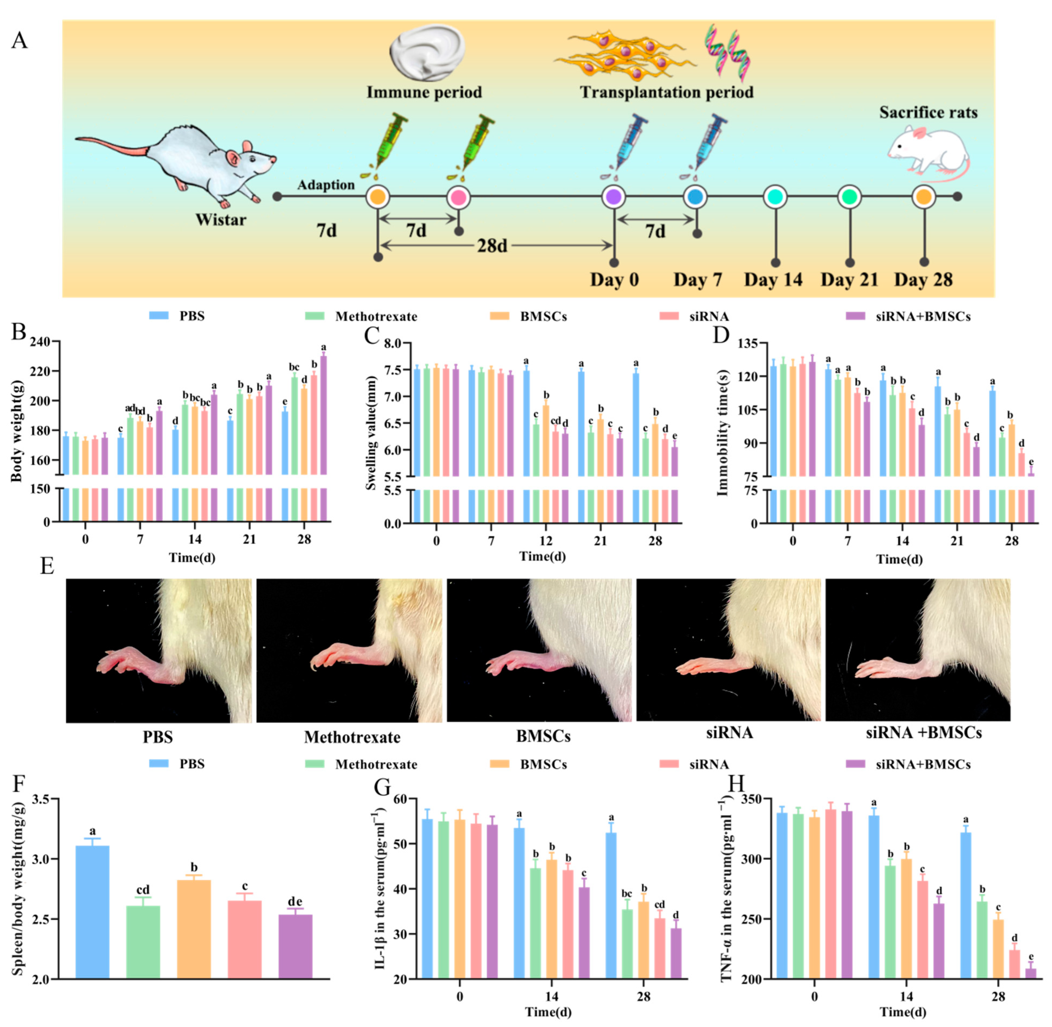 Vetsci 09 00531 g002