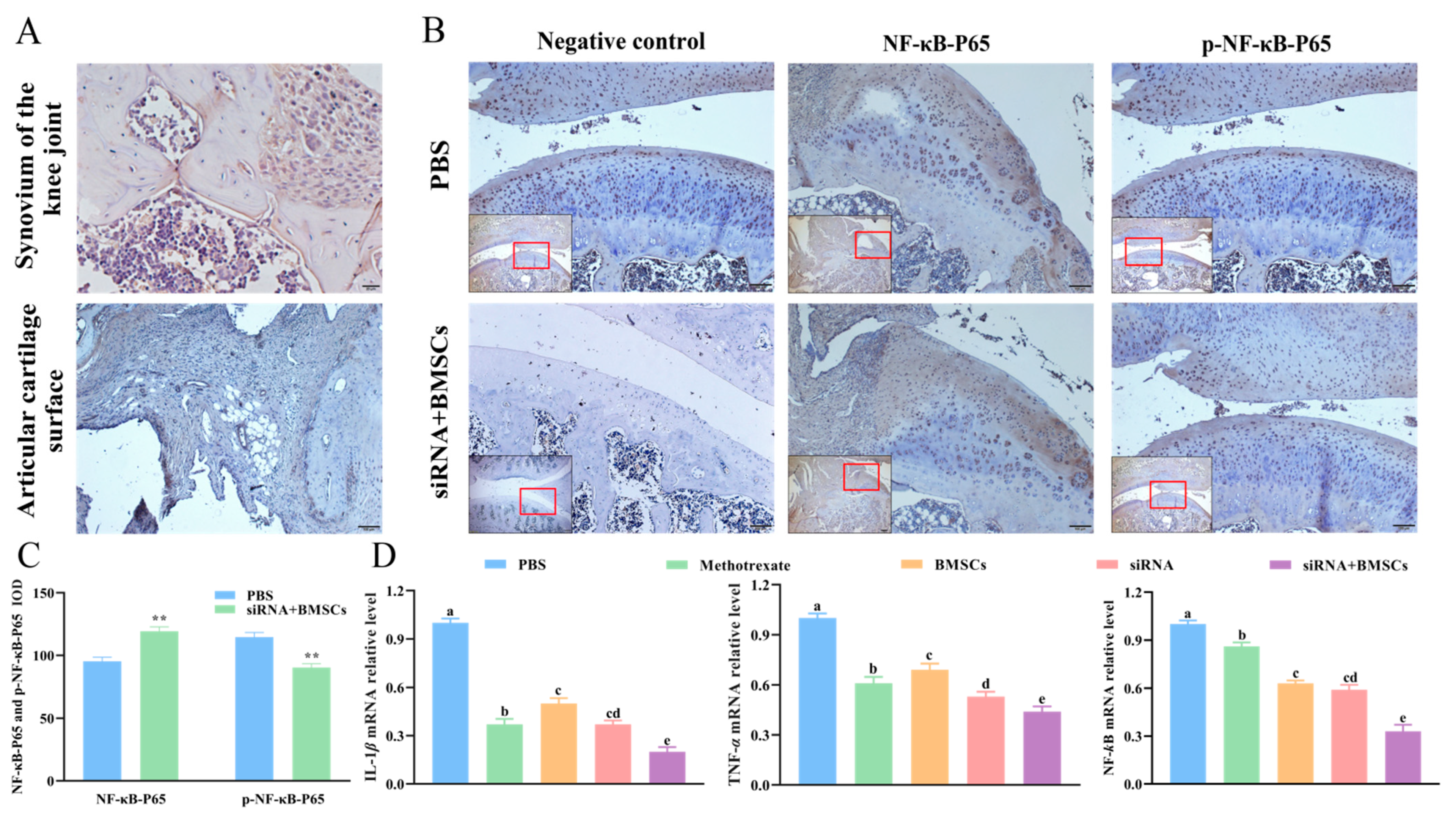 Vetsci 09 00531 g004