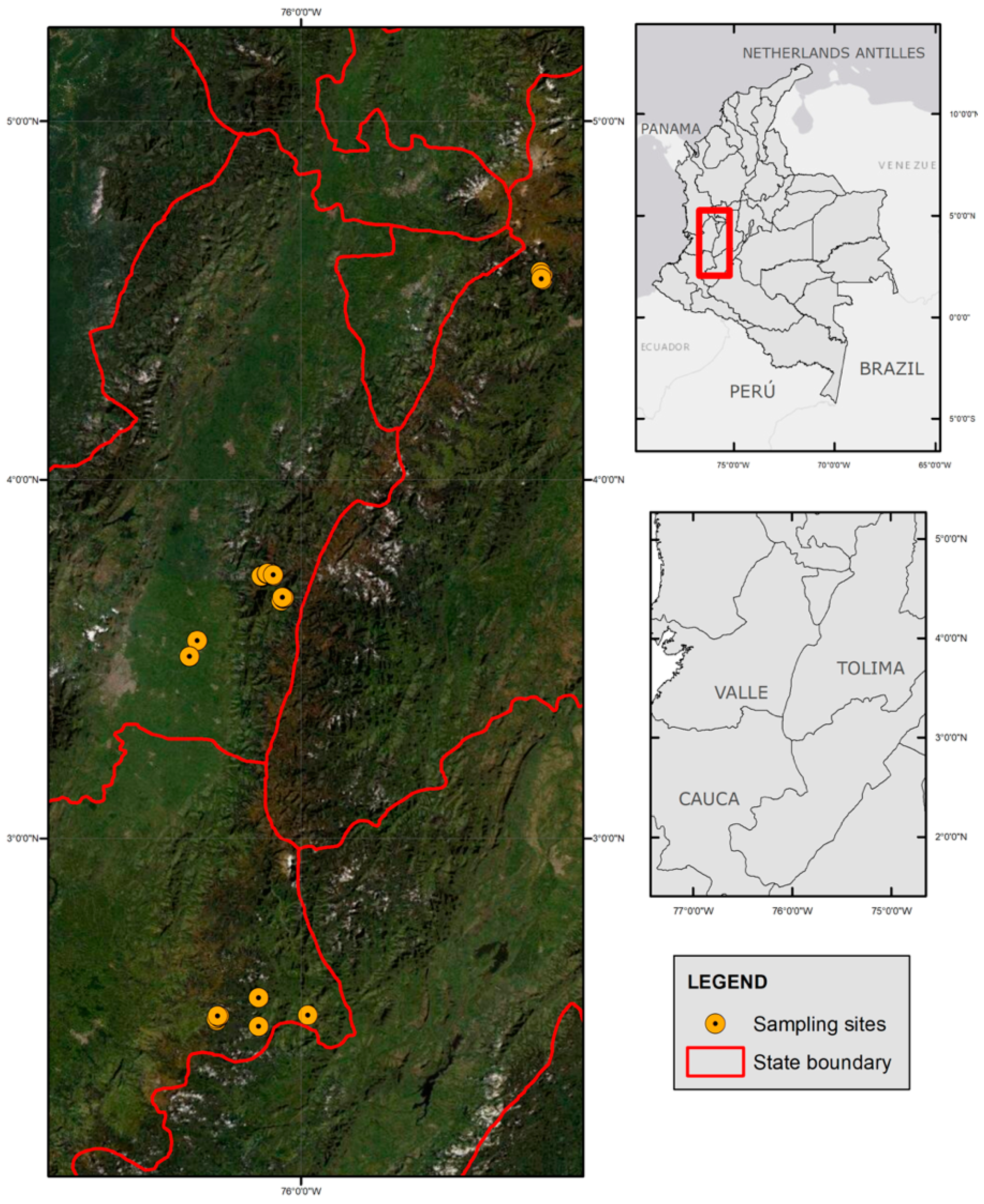 Vetsci 09 00537 g001