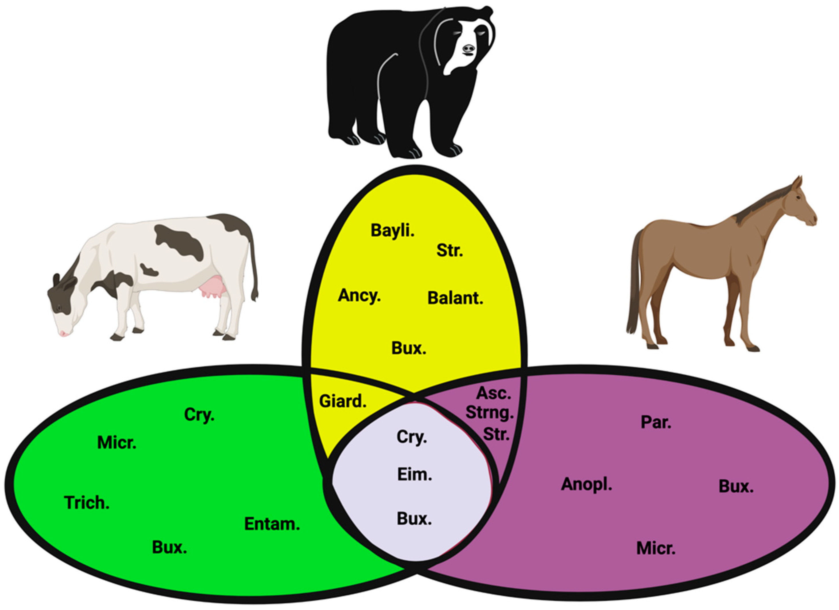 Vetsci 09 00537 g006