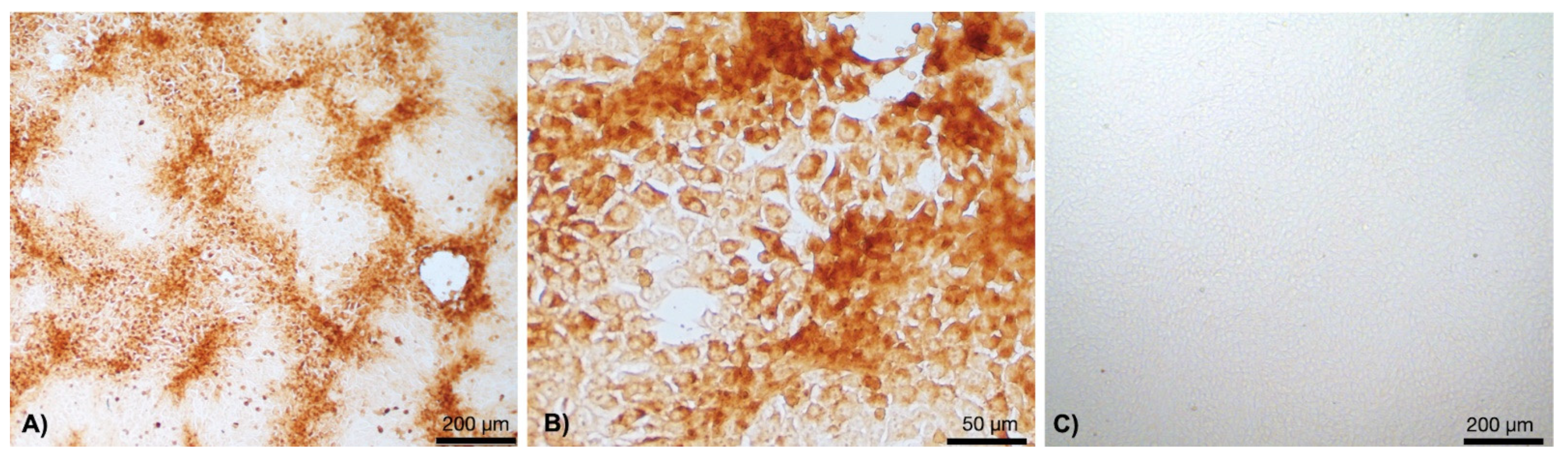 Vetsci 09 00542 g004 Vetsci 09 00542 g004