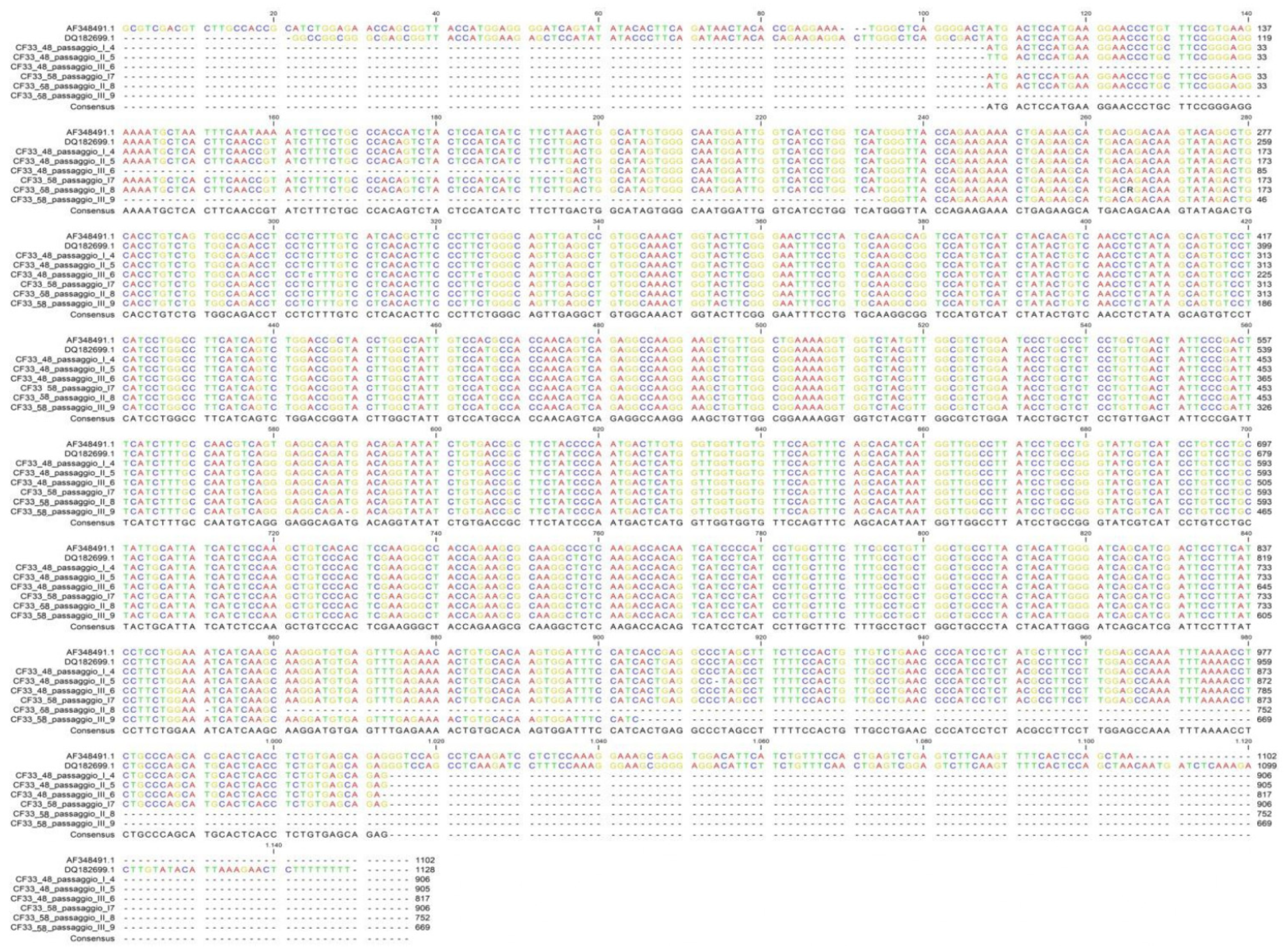 Vetsci 09 00543 g005