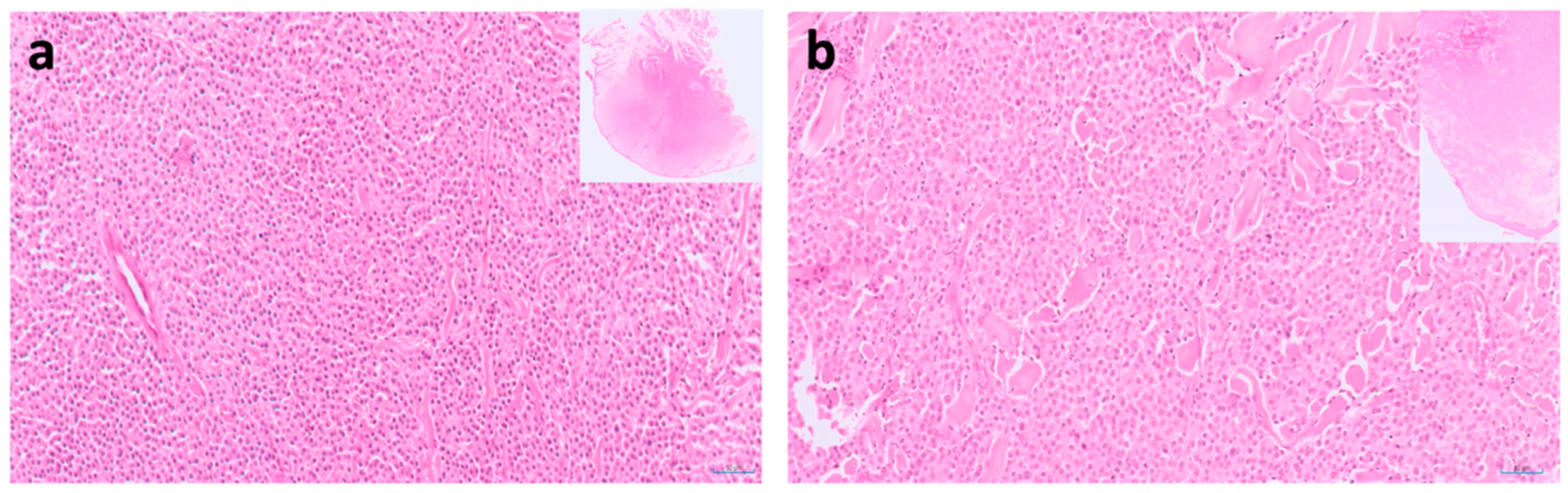 Vetsci 09 00547 g005