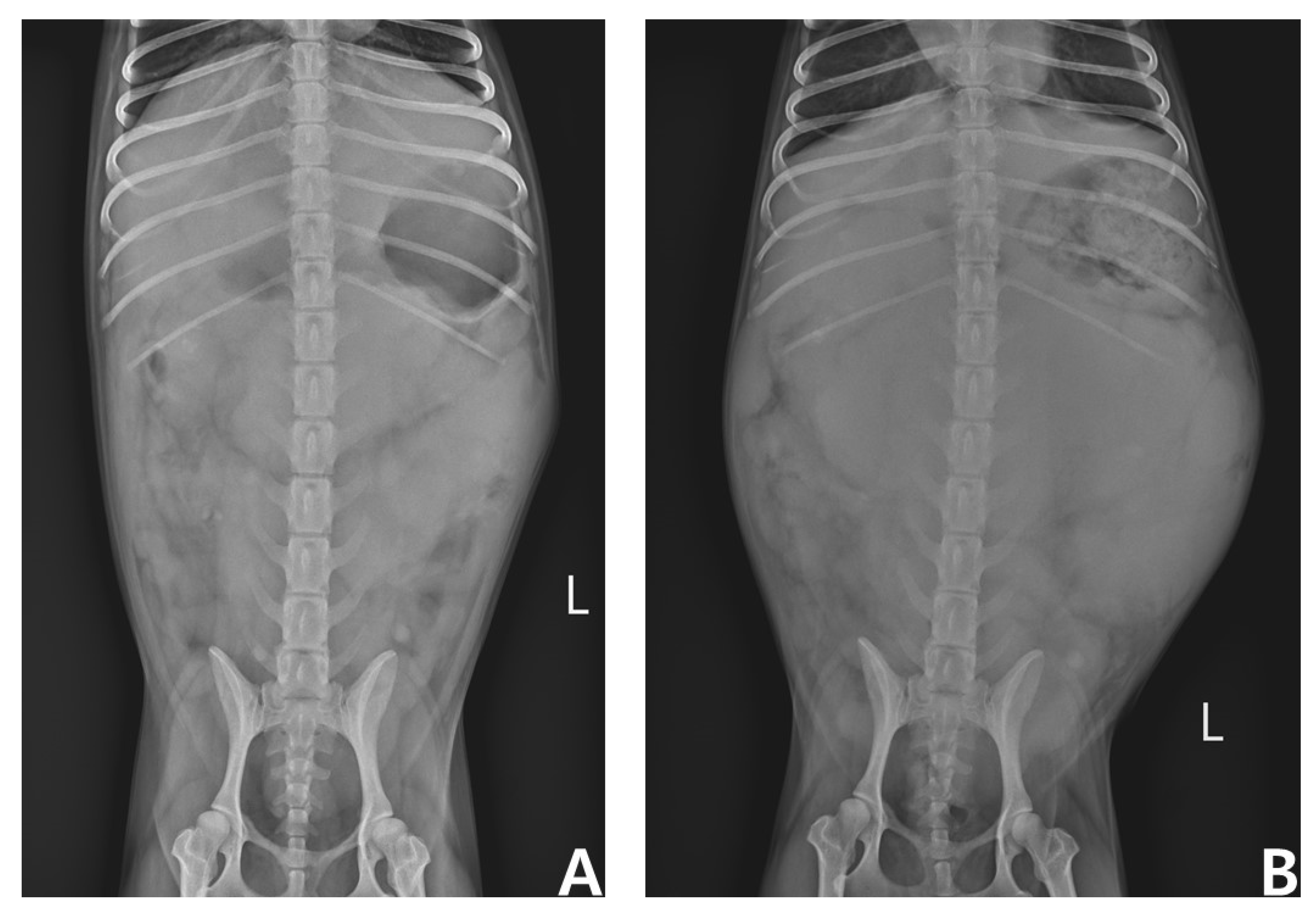 Vetsci 09 00549 g005