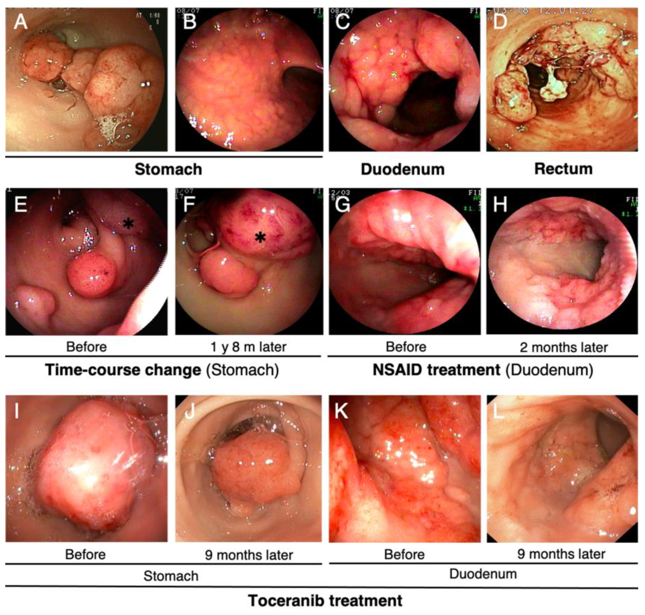 Vetsci 09 00551 g003