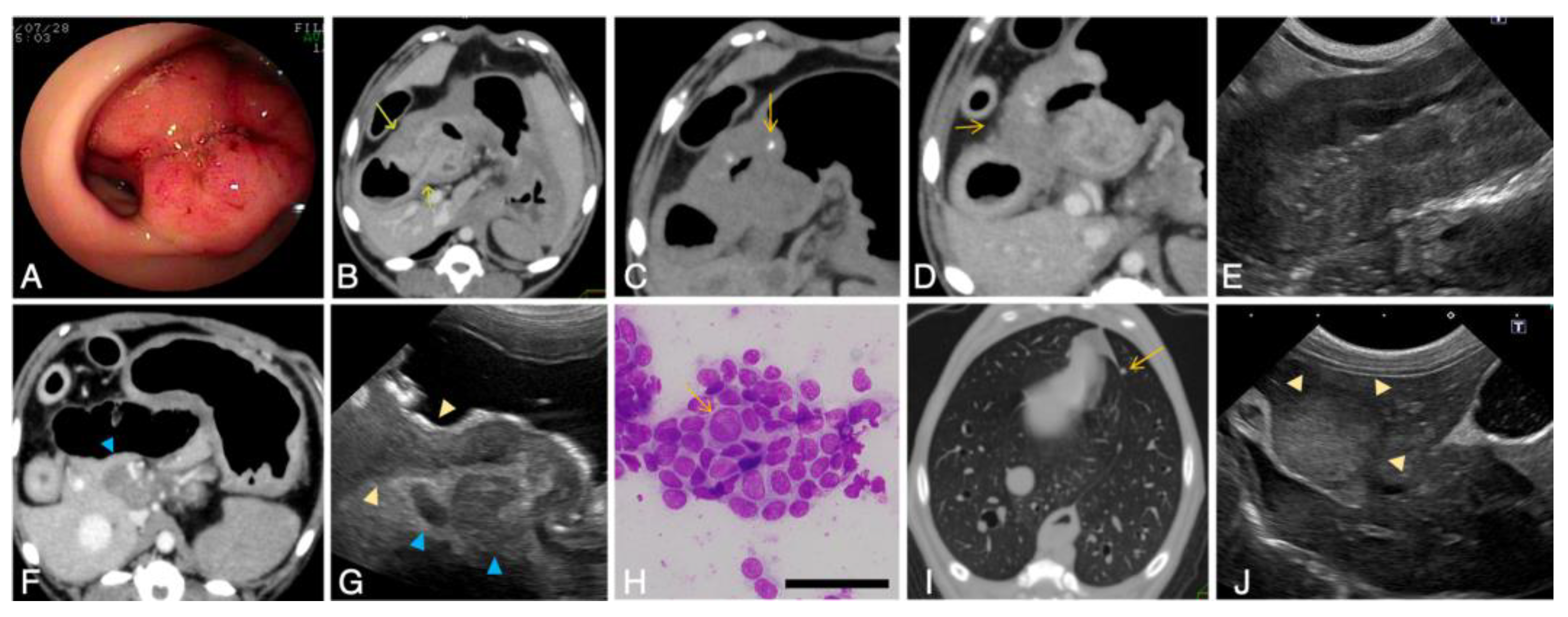 Vetsci 09 00551 g004