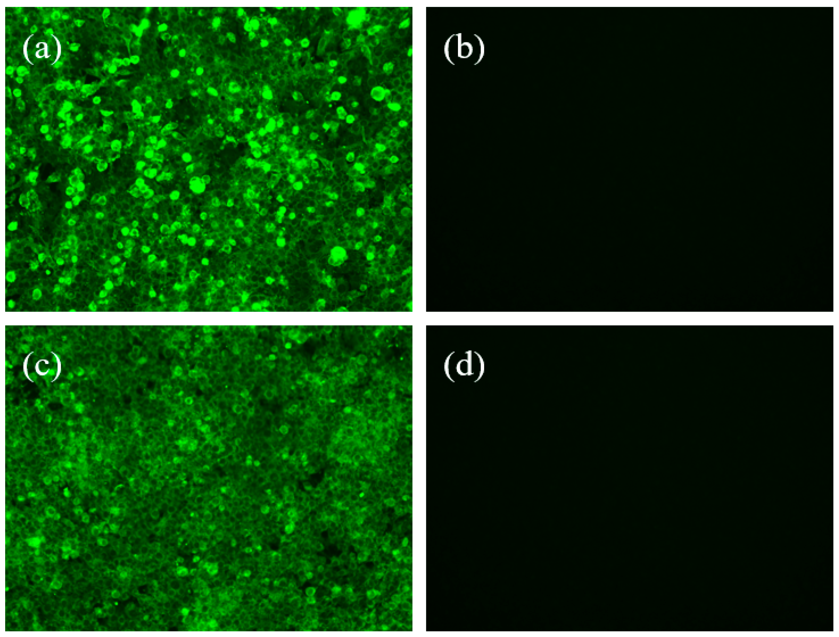 Vetsci 09 00555 g003 Vetsci 09 00555 g003