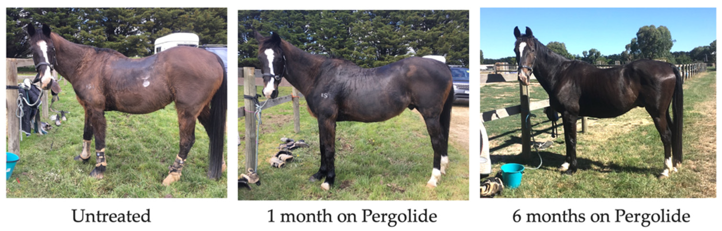 Vetsci 09 00556 g004