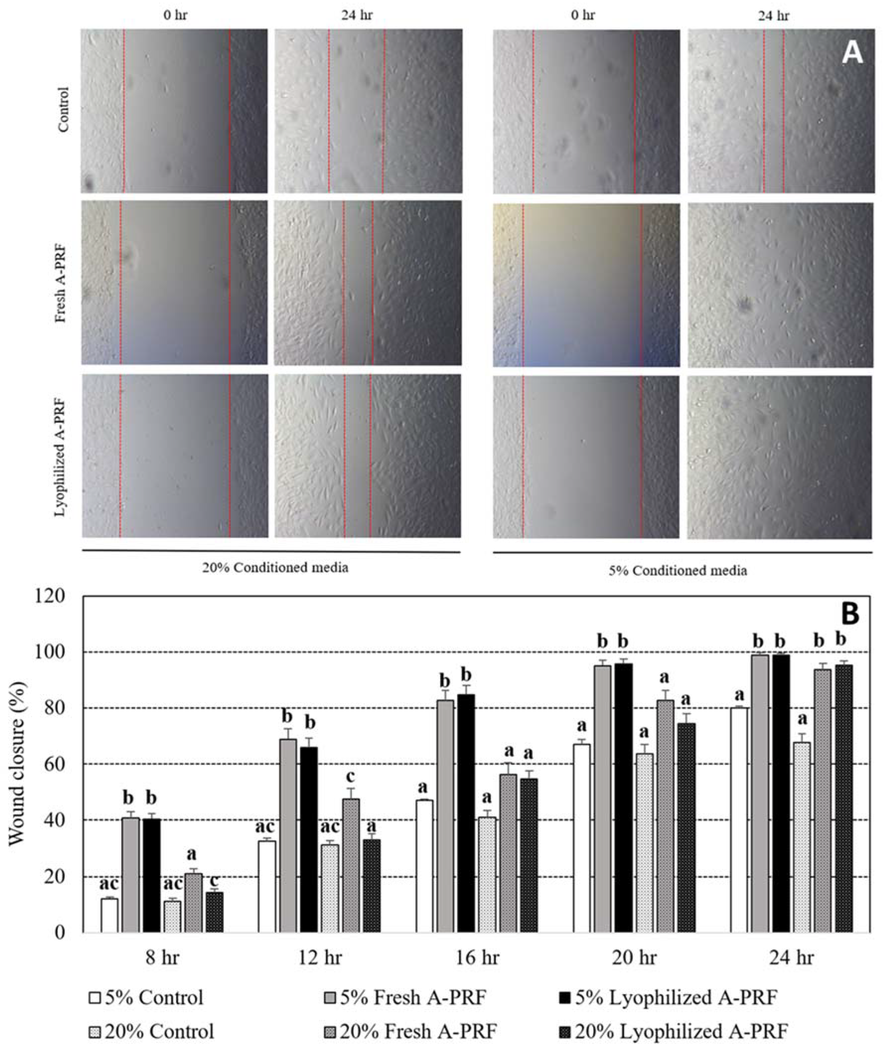 Vetsci 09 00566 g004 Vetsci 09 00566 g004