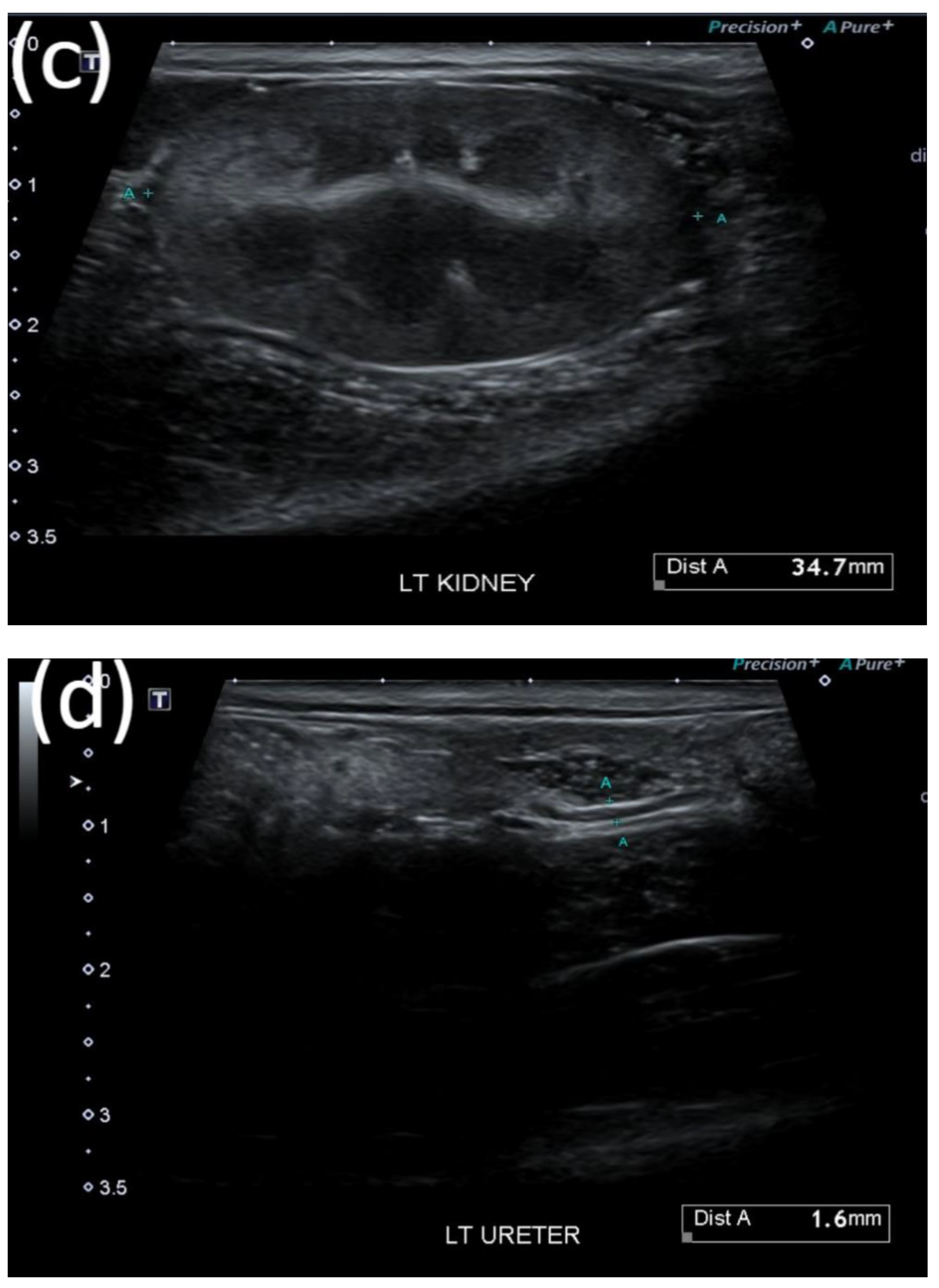 Vetsci 09 00568 g001b Vetsci 09 00568 g001b