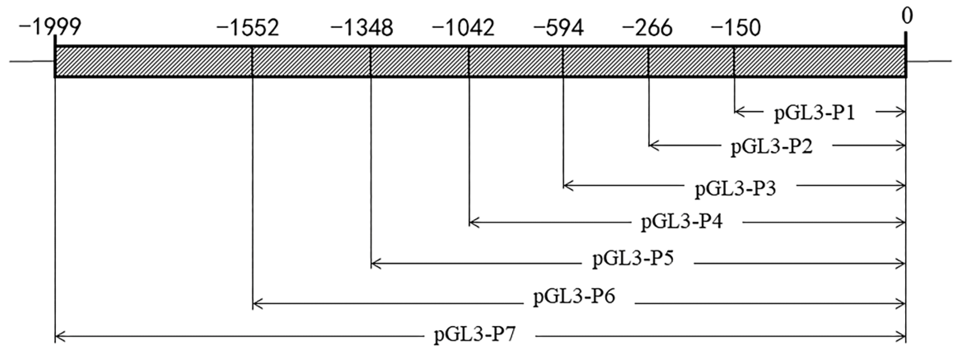 Vetsci 09 00570 g001 Vetsci 09 00570 g001