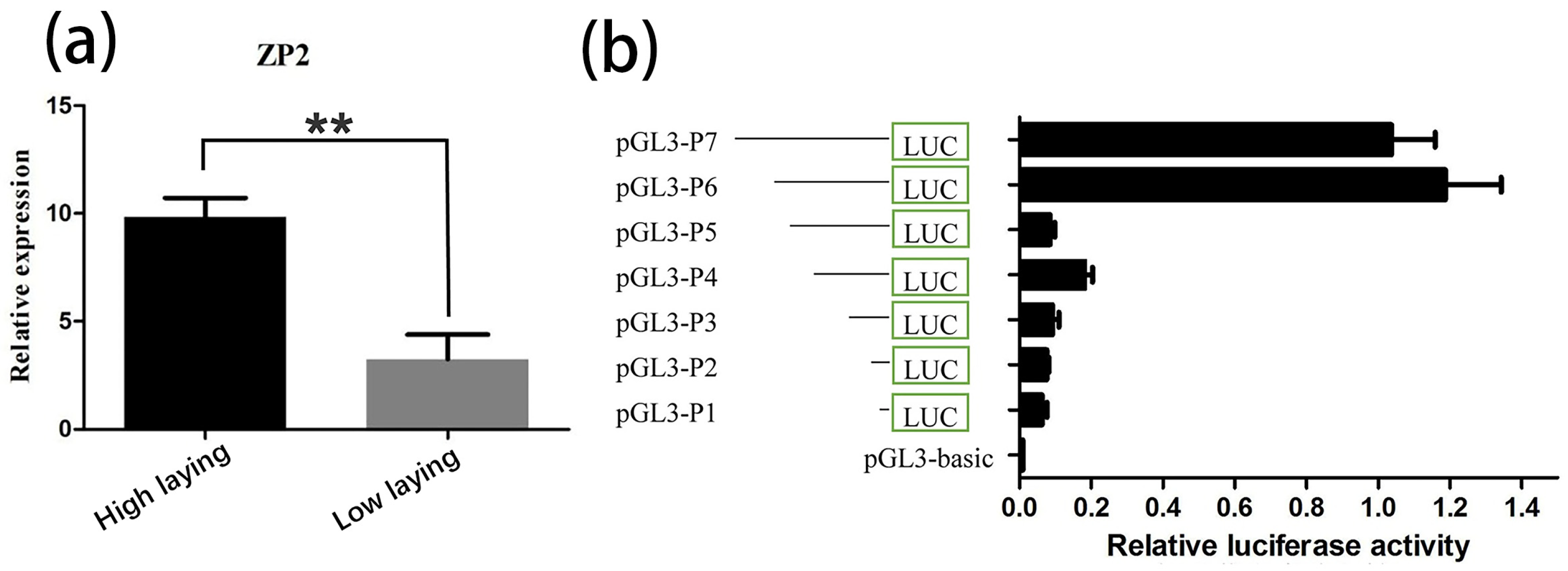 Vetsci 09 00570 g002 Vetsci 09 00570 g002