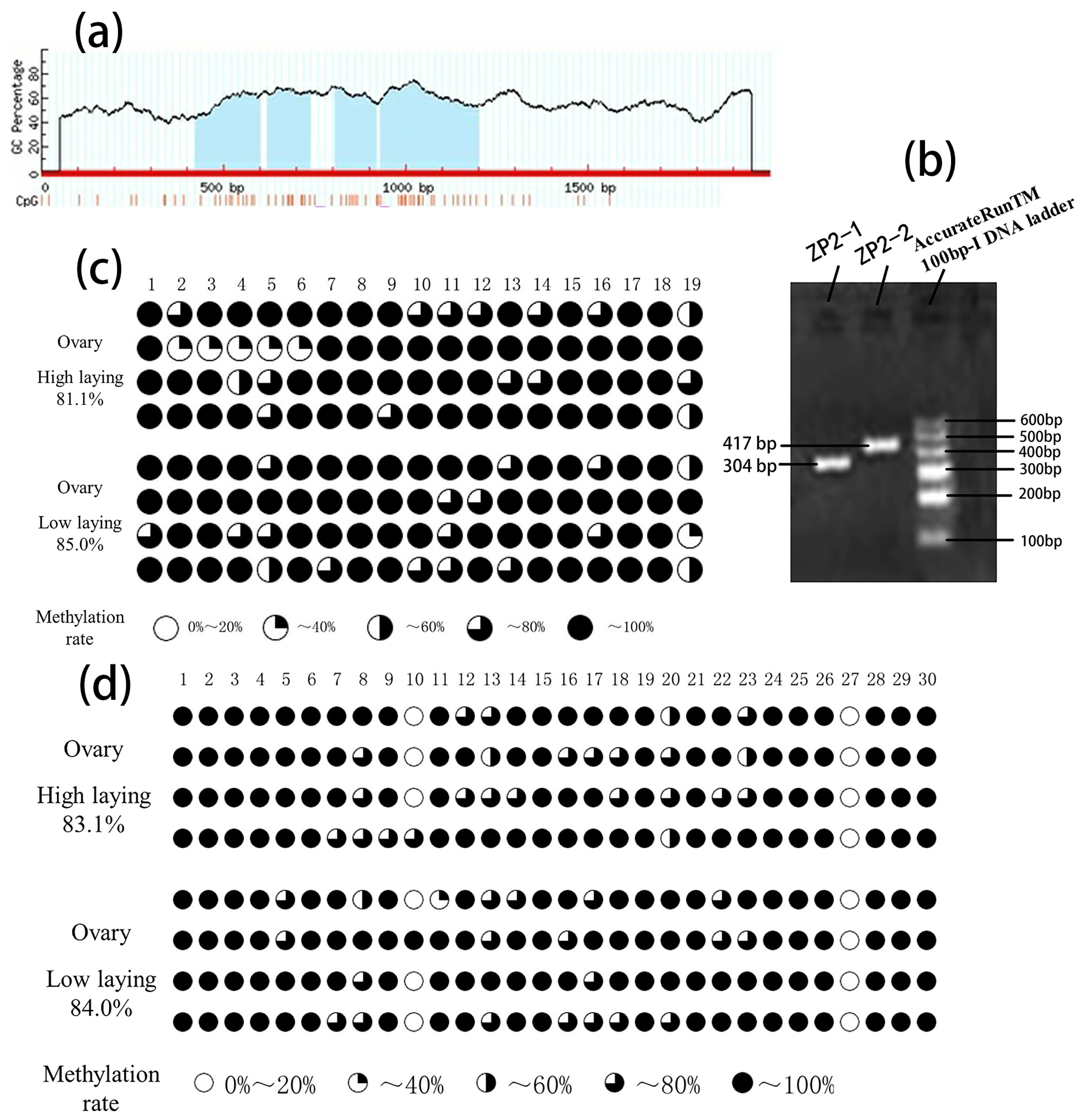 Vetsci 09 00570 g003 Vetsci 09 00570 g003