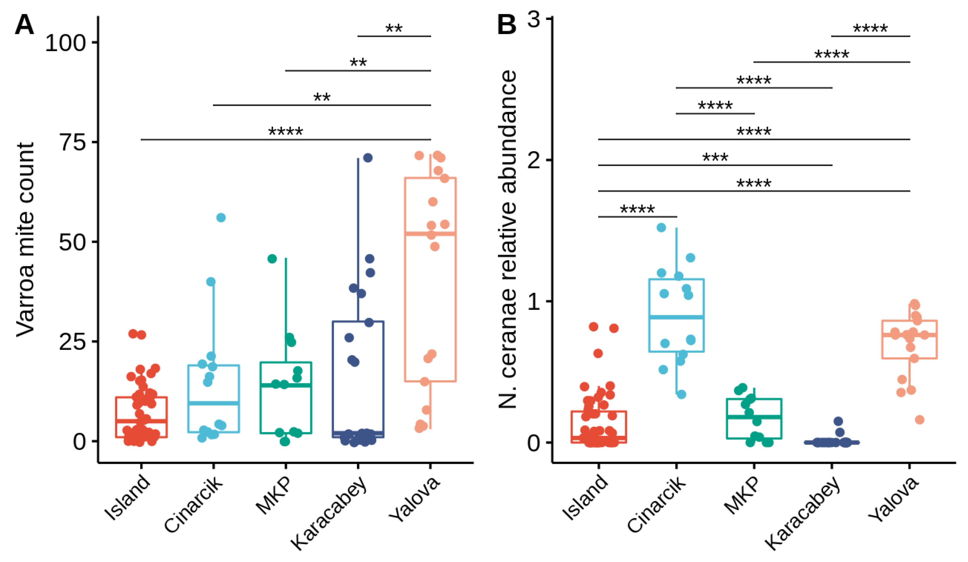 Vetsci 09 00573 g002 Vetsci 09 00573 g002