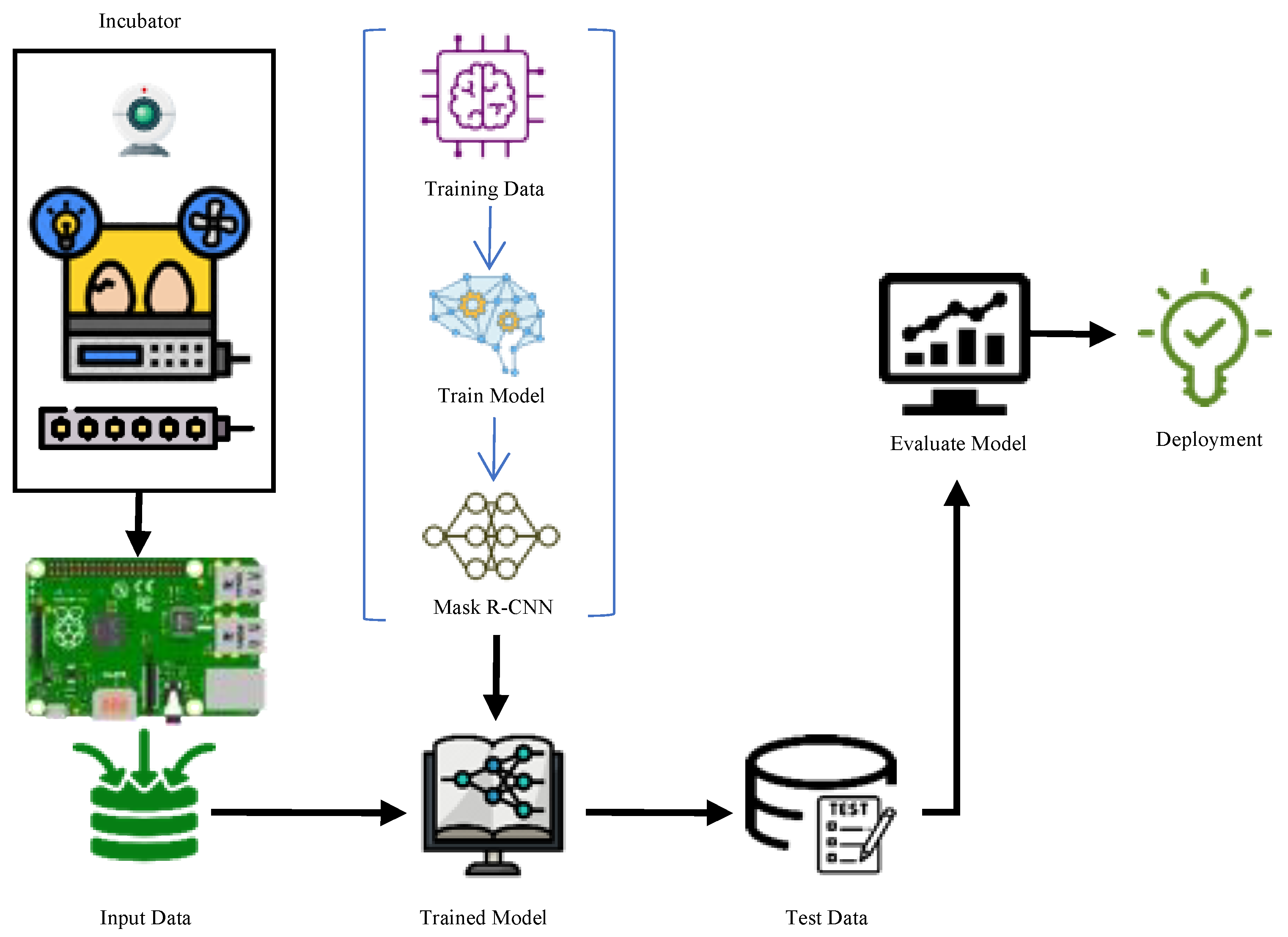 Vetsci 09 00574 g001