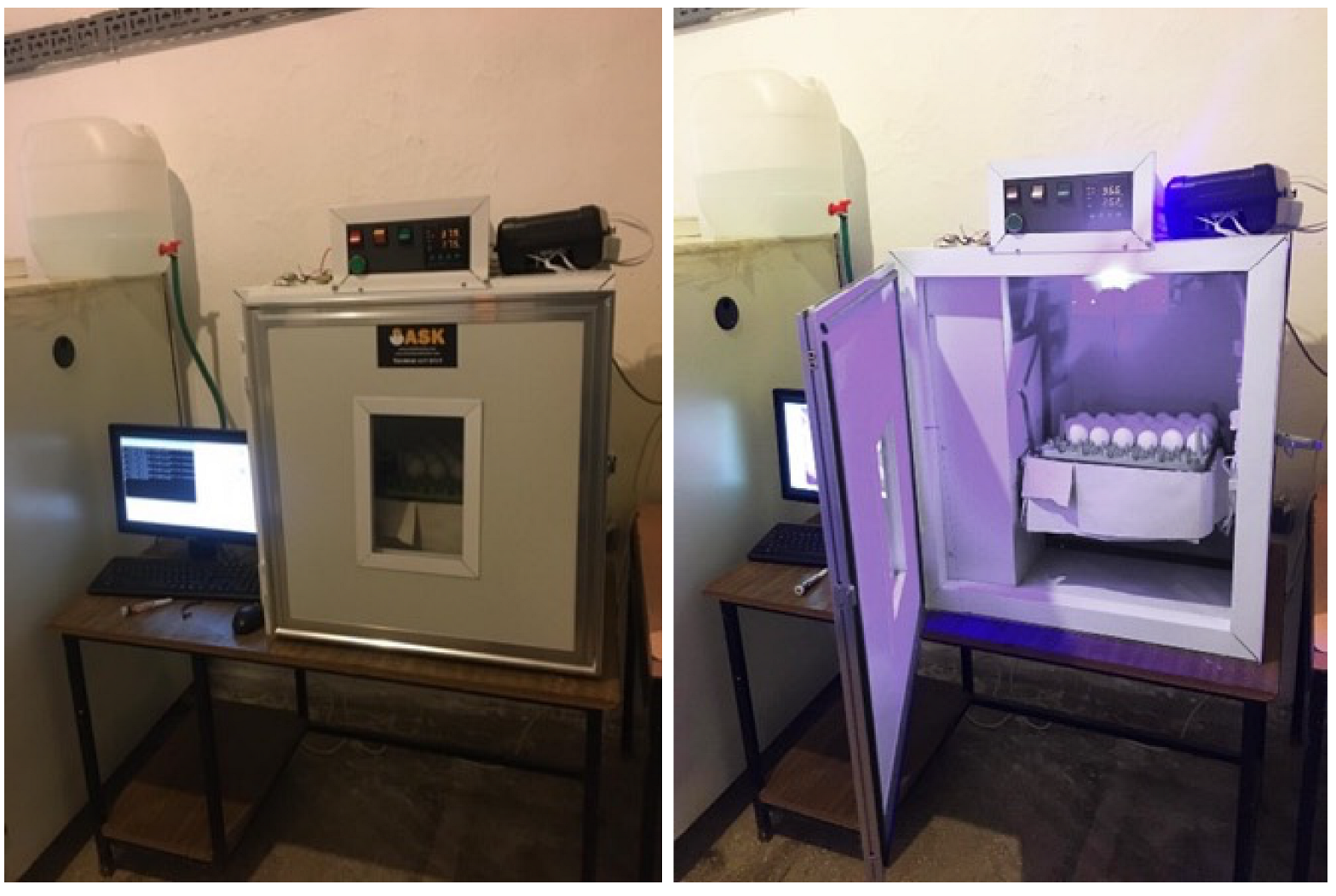 Vetsci 09 00574 g002