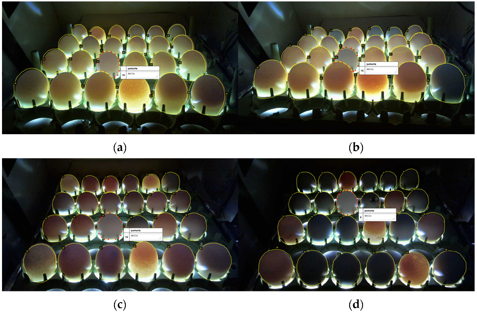 Vetsci 09 00574 g005