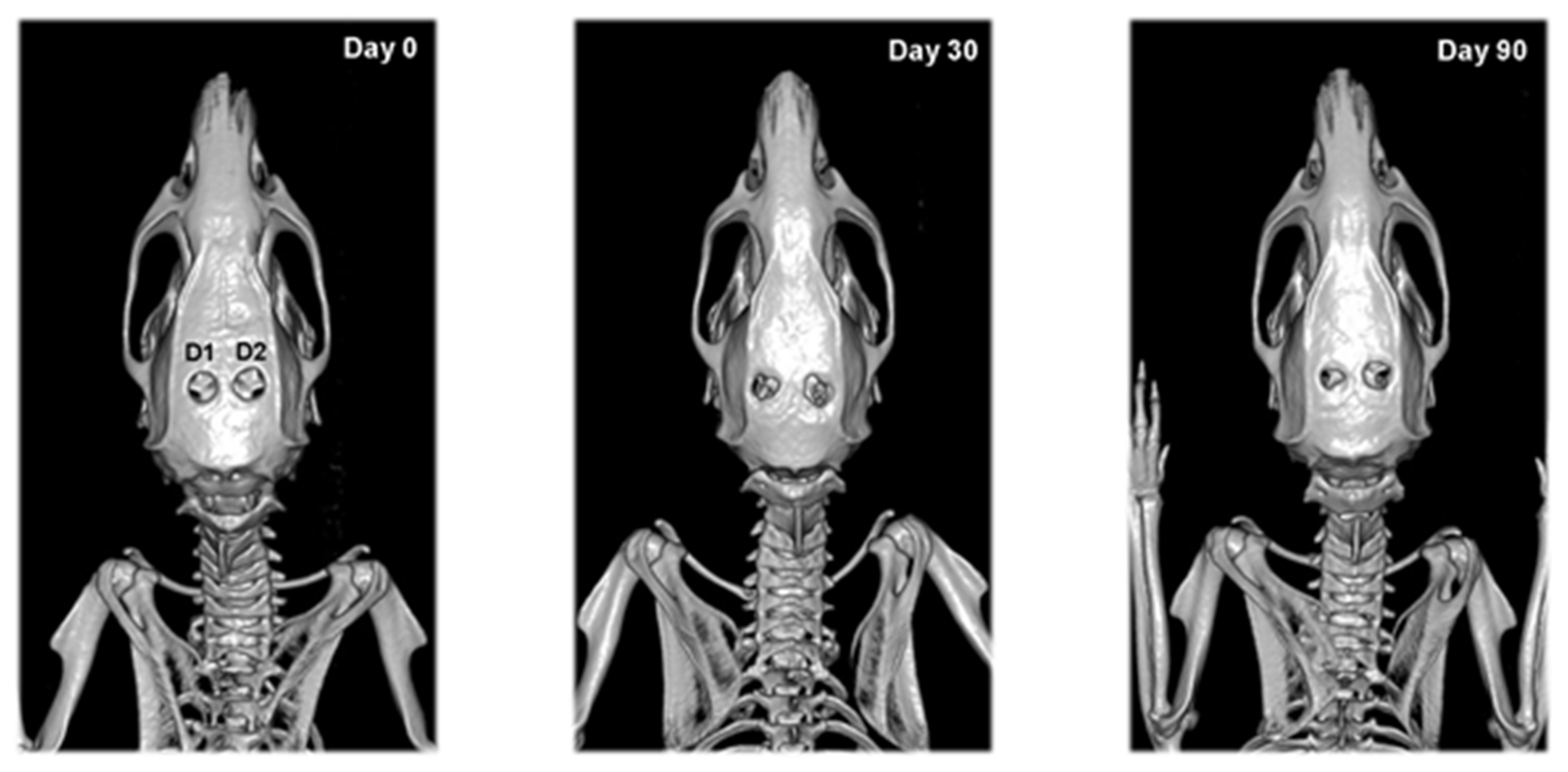 Vetsci 09 00578 g004