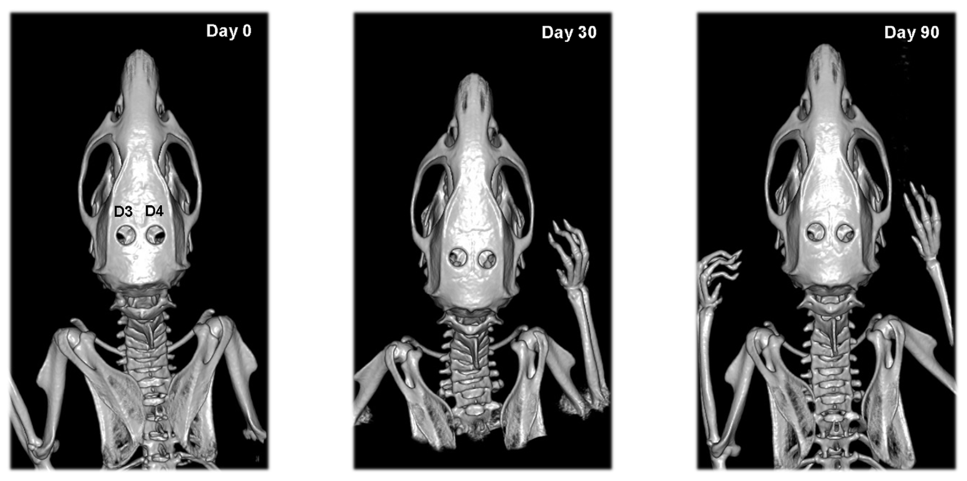 Vetsci 09 00578 g005