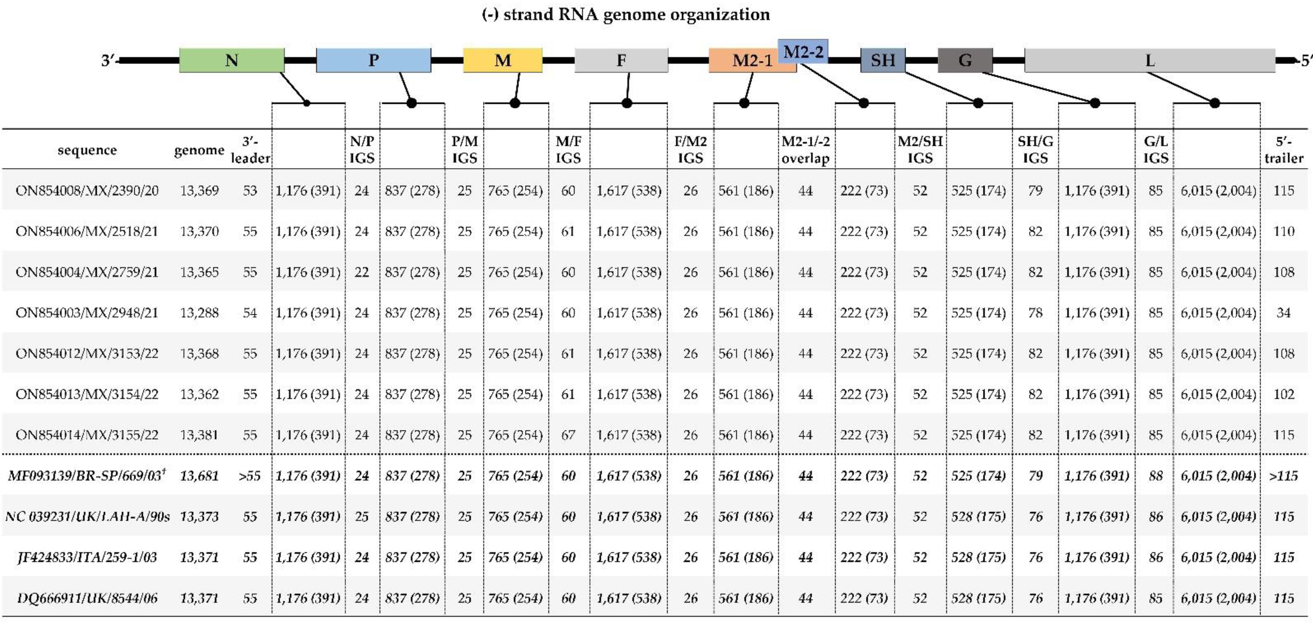 Vetsci 09 00579 g001