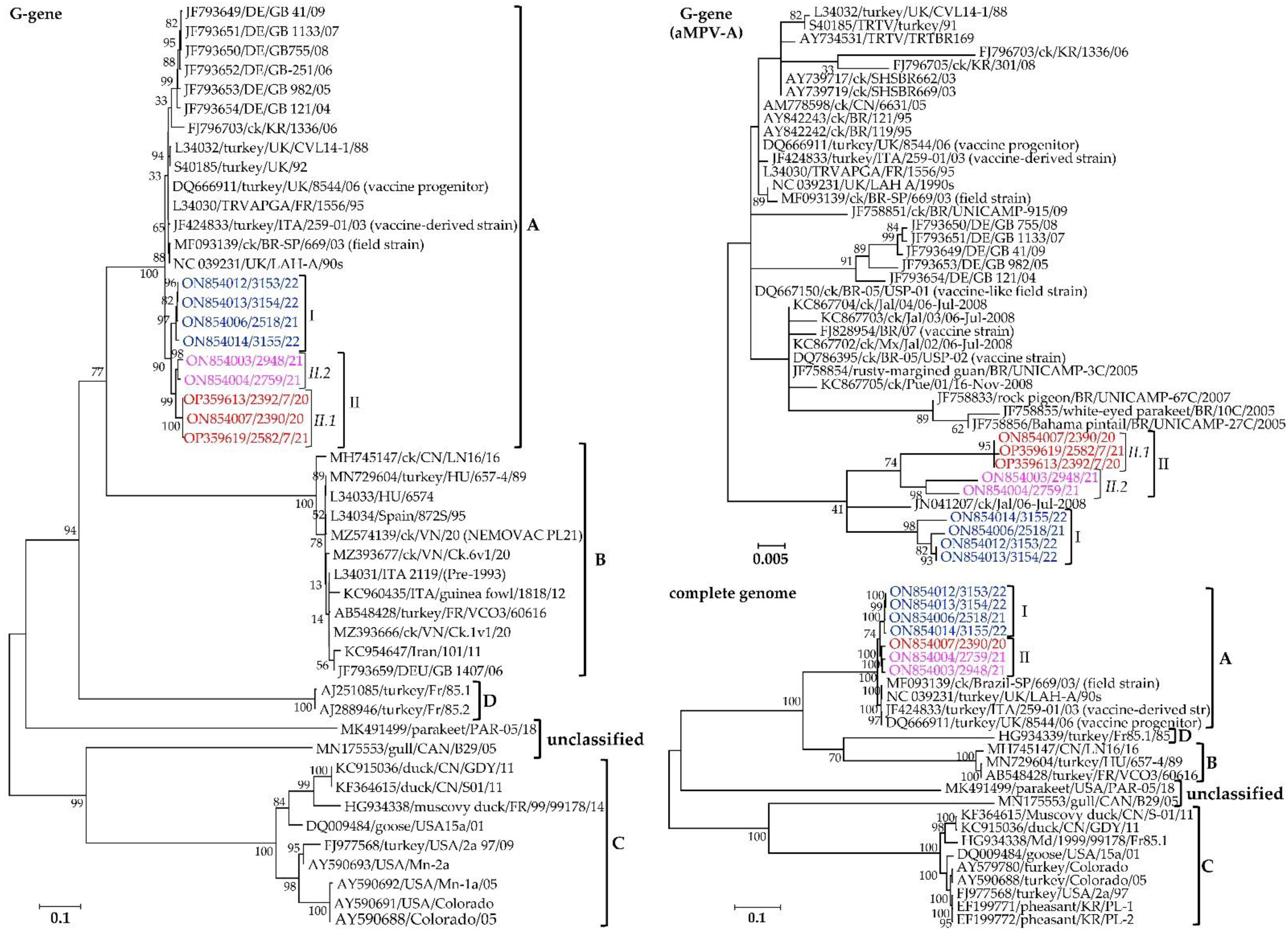 Vetsci 09 00579 g003