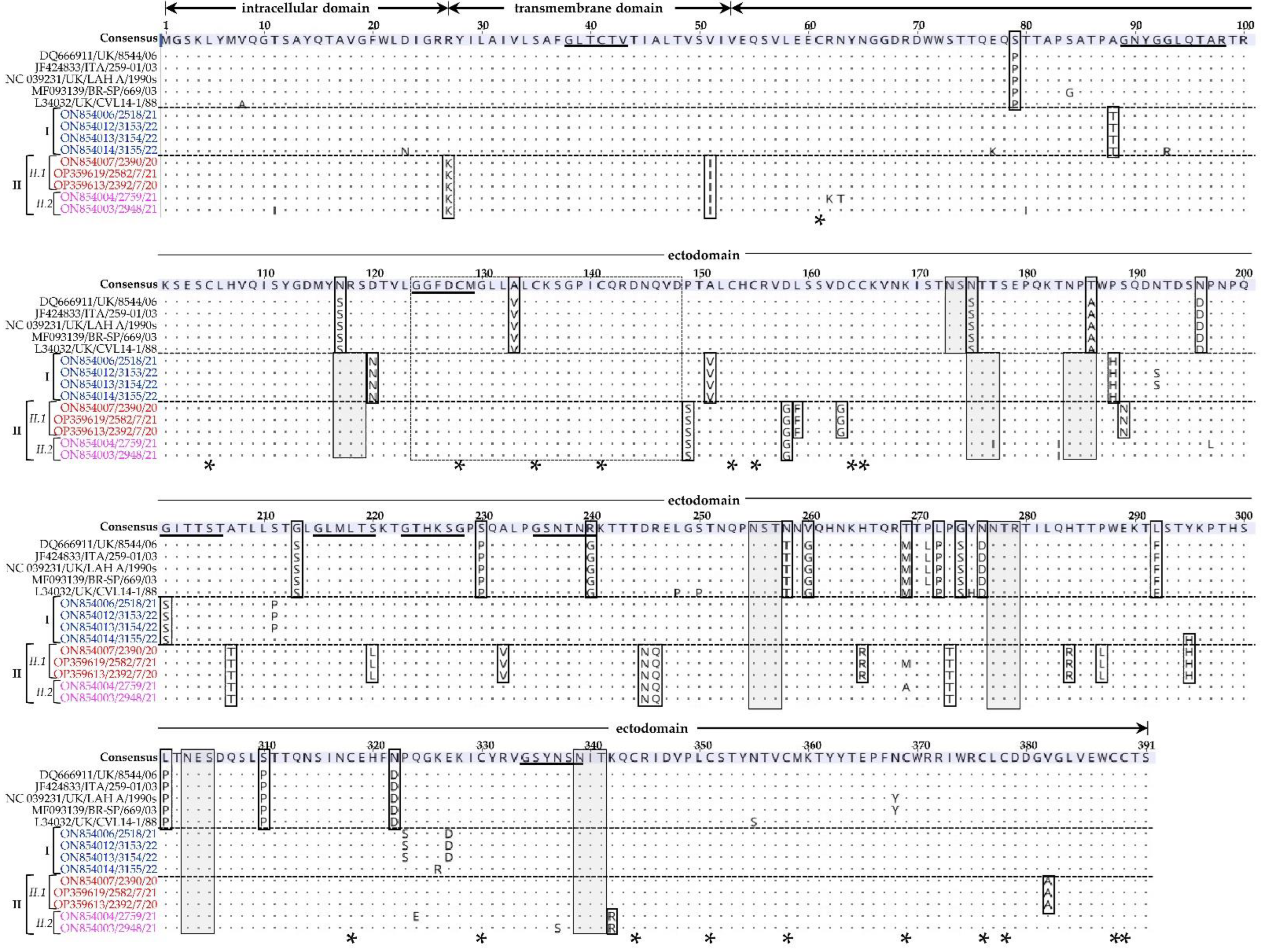 Vetsci 09 00579 g004