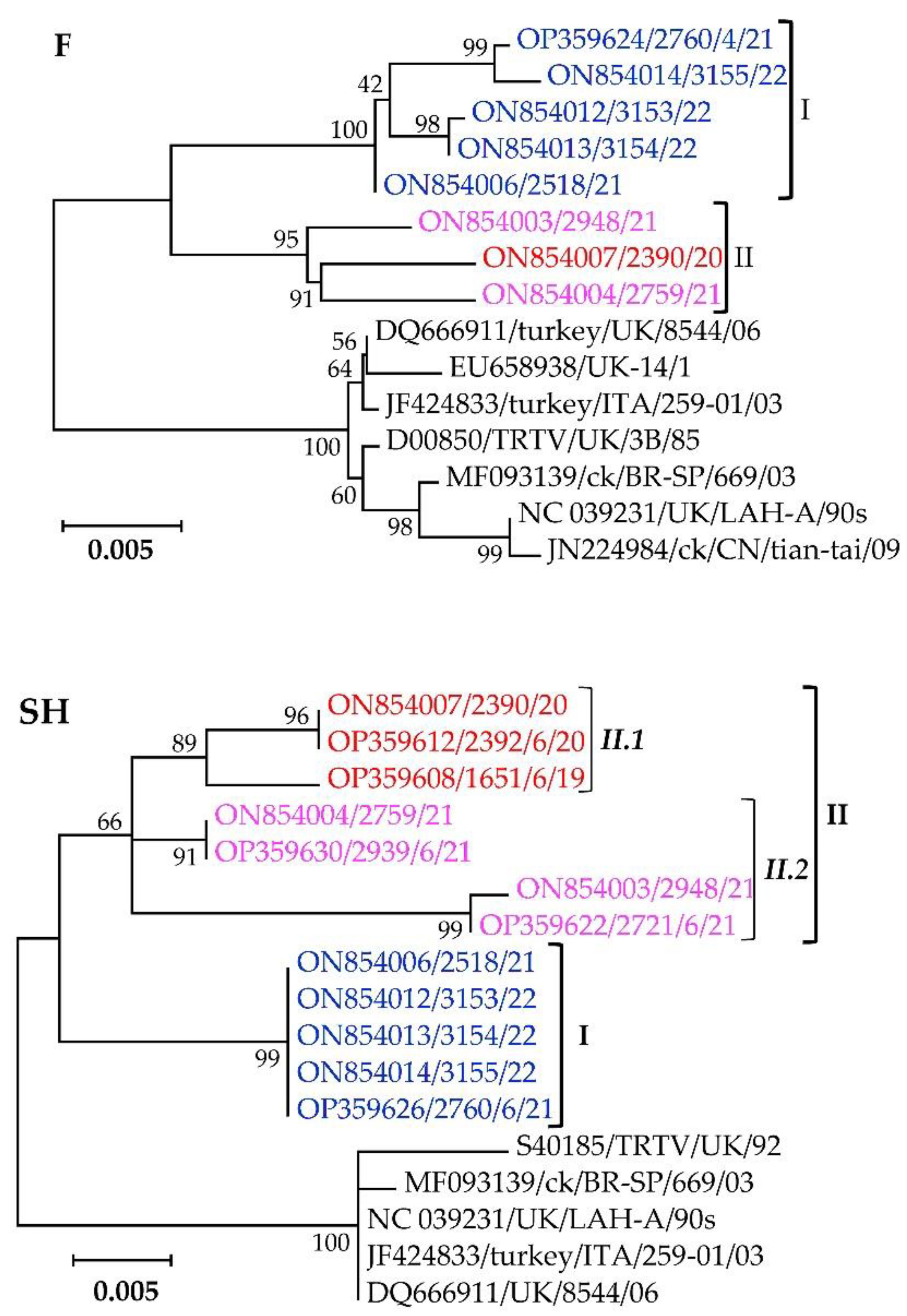 Vetsci 09 00579 g005
