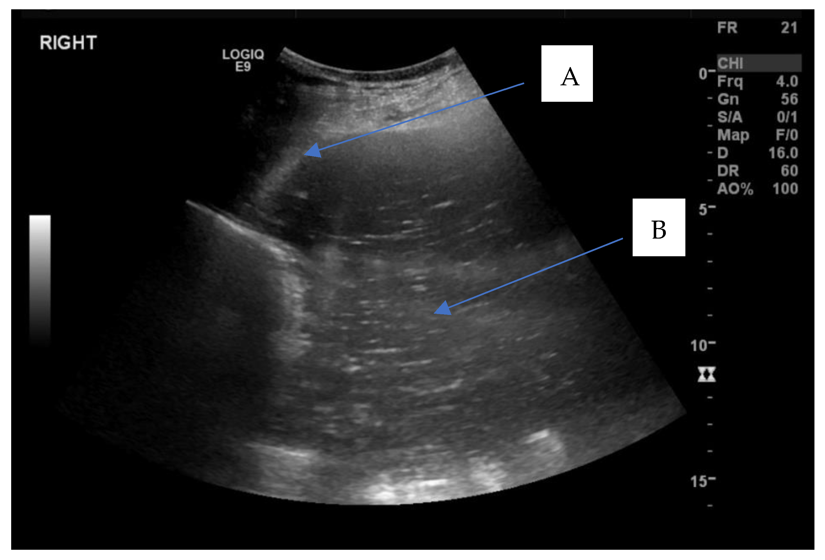 Vetsci 09 00584 g001 Vetsci 09 00584 g001
