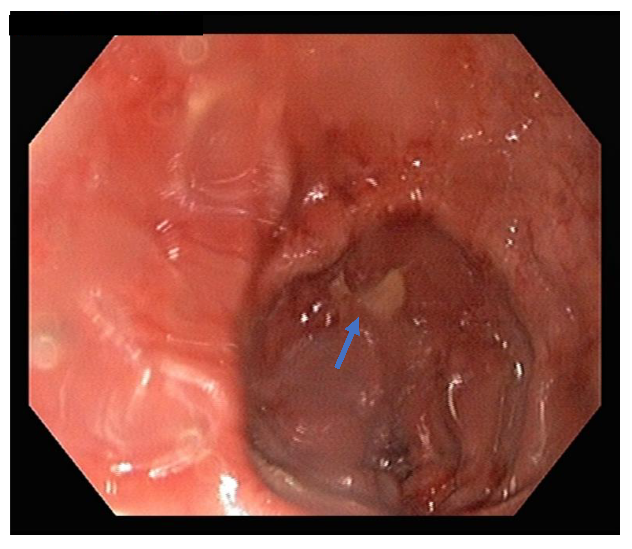 Vetsci 09 00584 g004 Vetsci 09 00584 g004