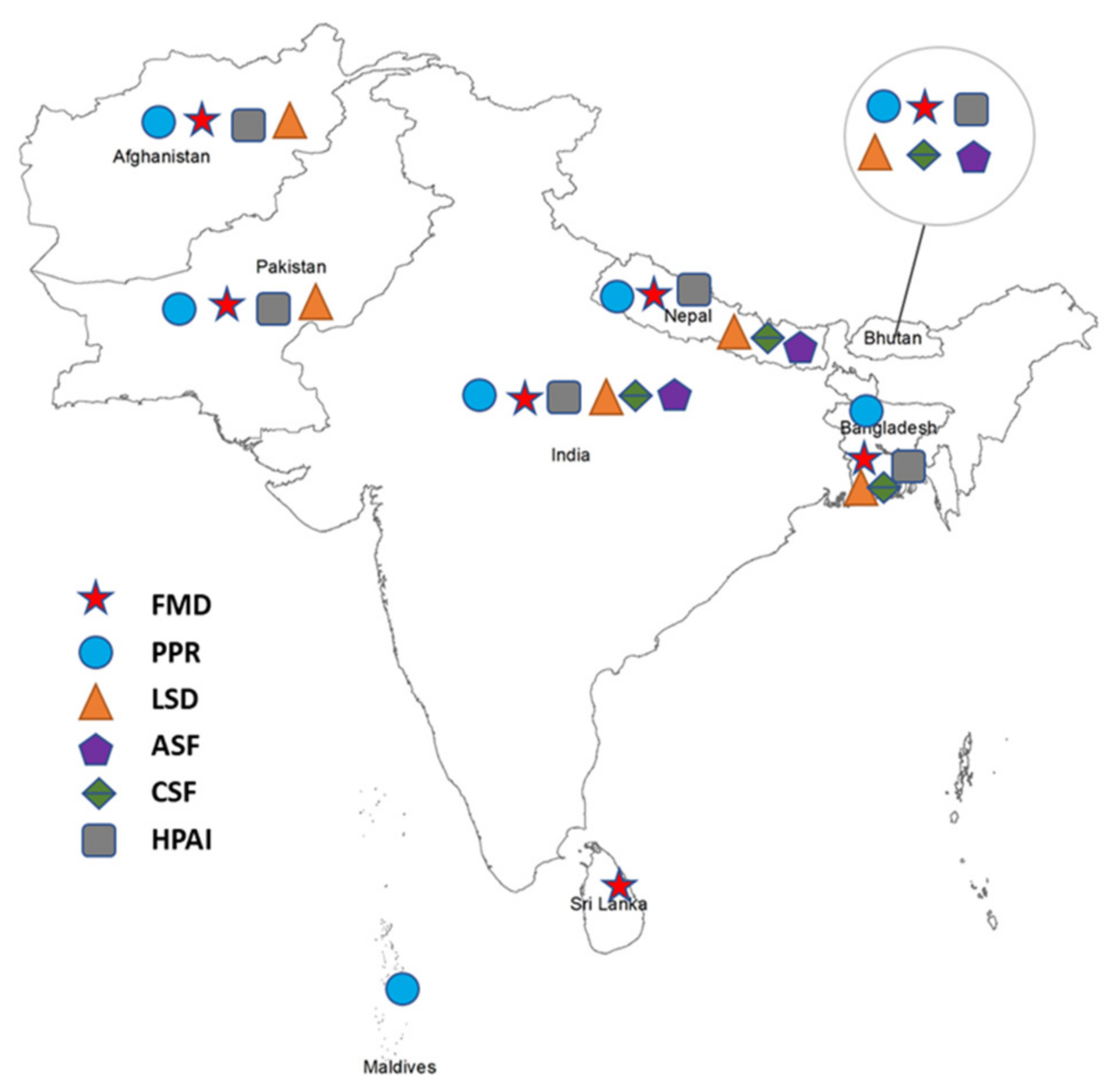 Vetsci 09 00586 g002