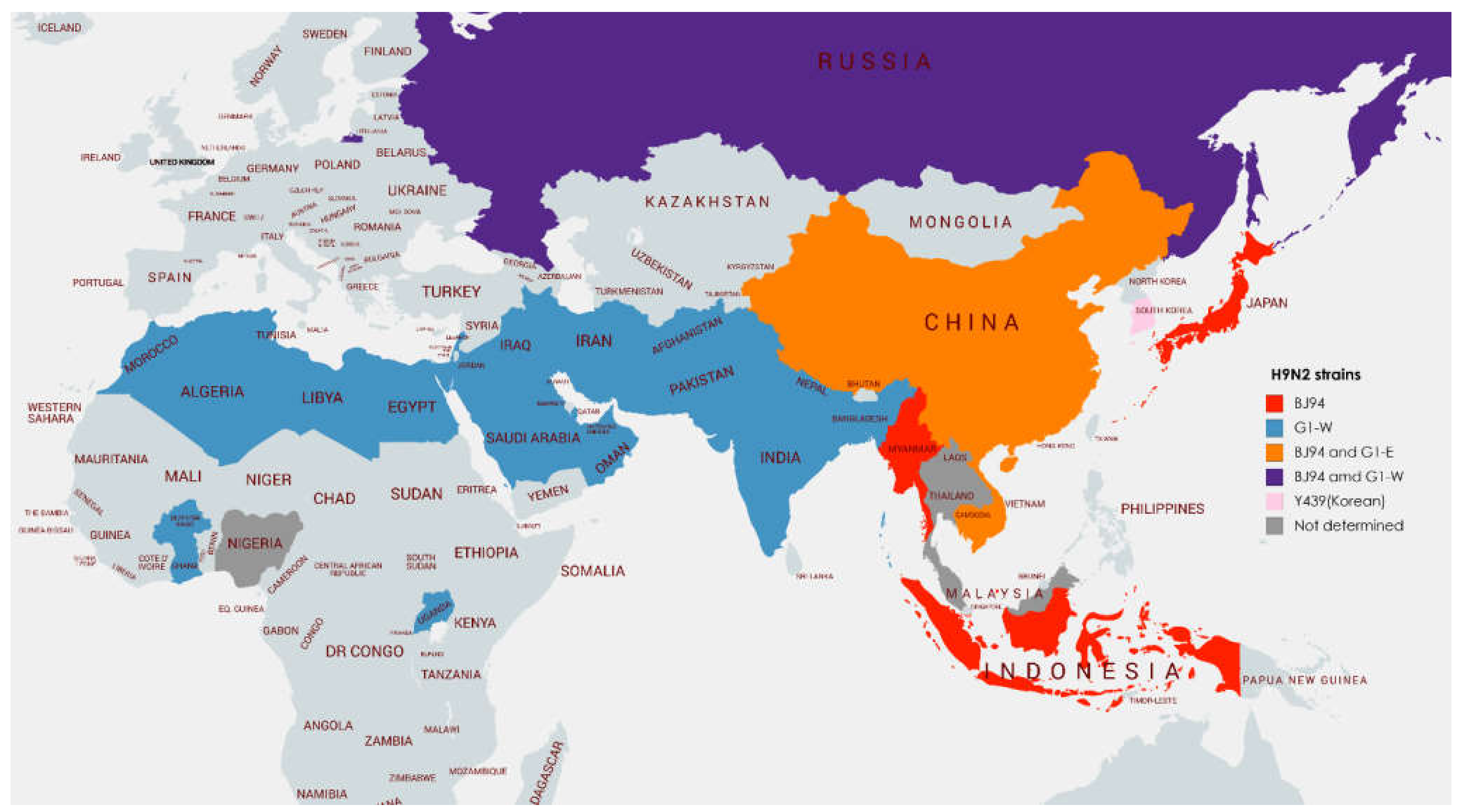 Vetsci 09 00586 g006