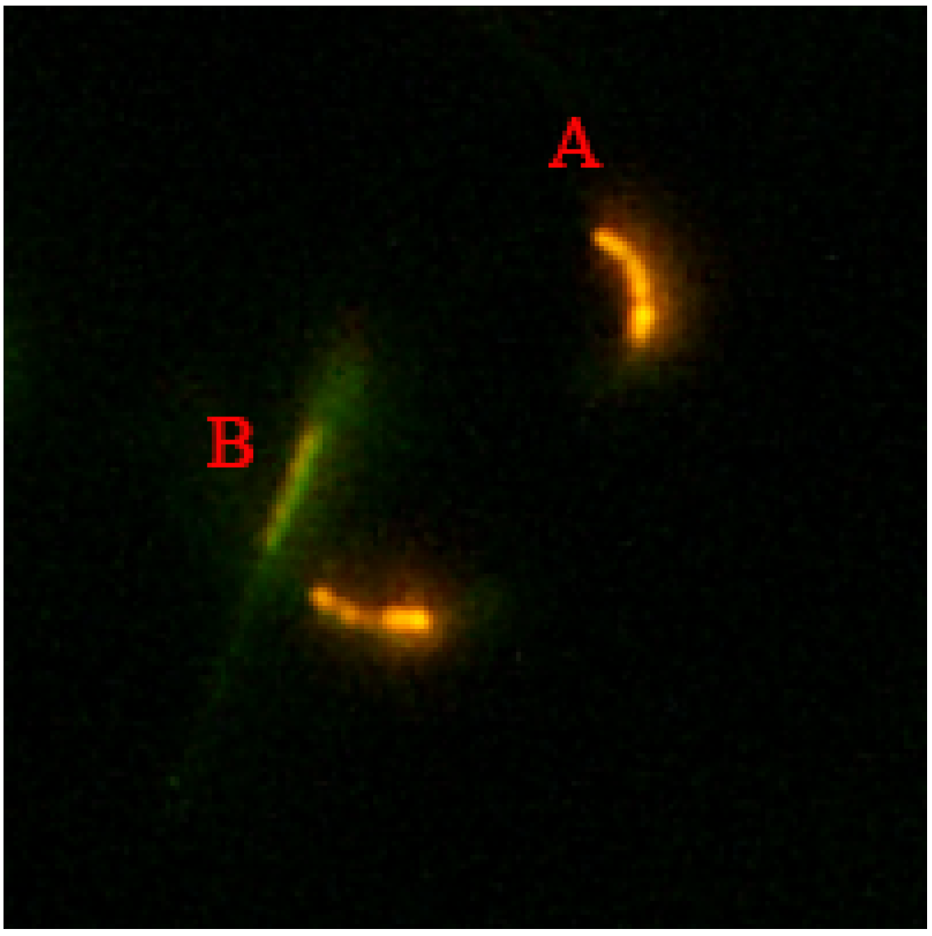 Vetsci 09 00588 g003 Vetsci 09 00588 g003