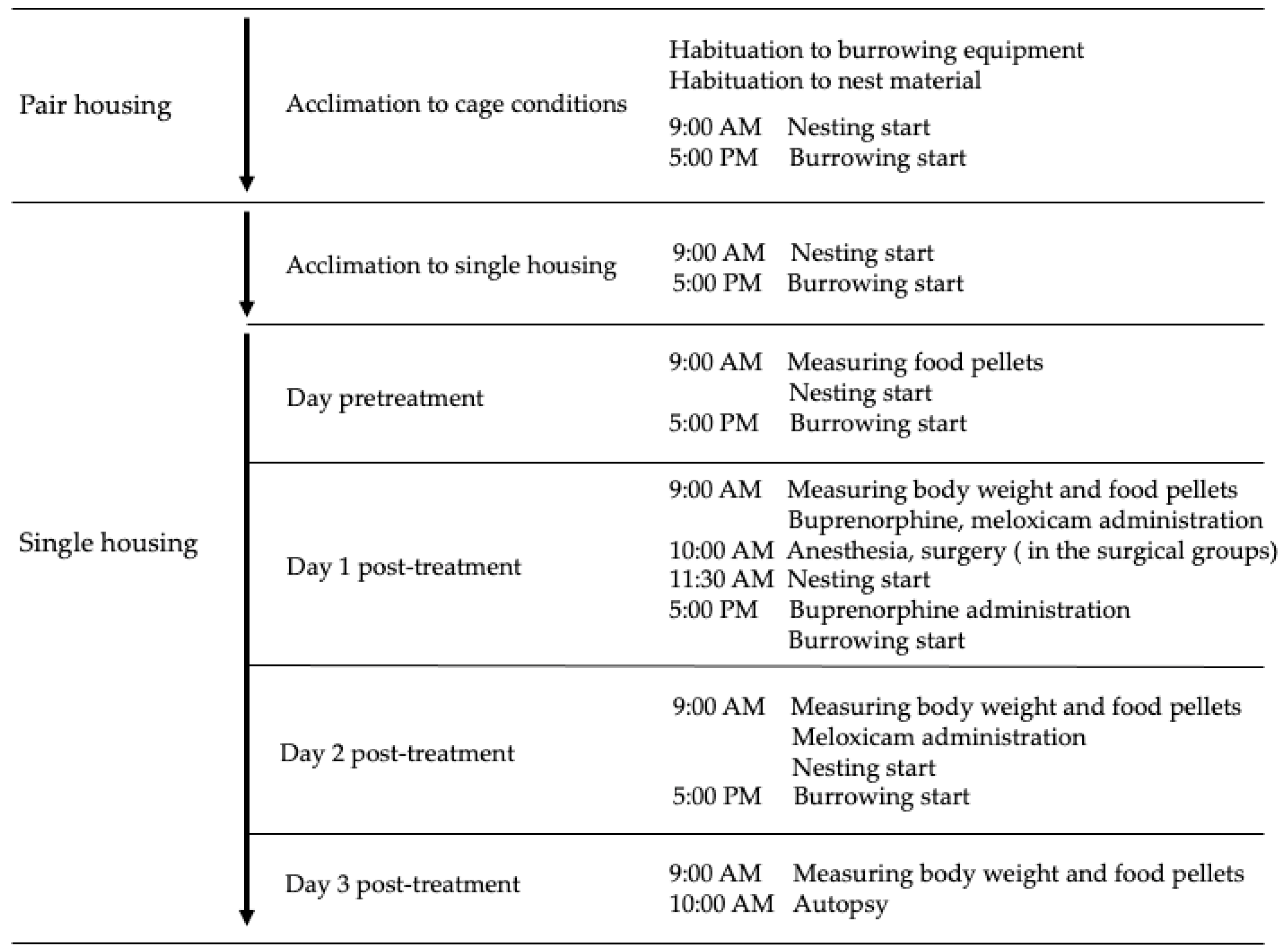 Vetsci 09 00589 g001