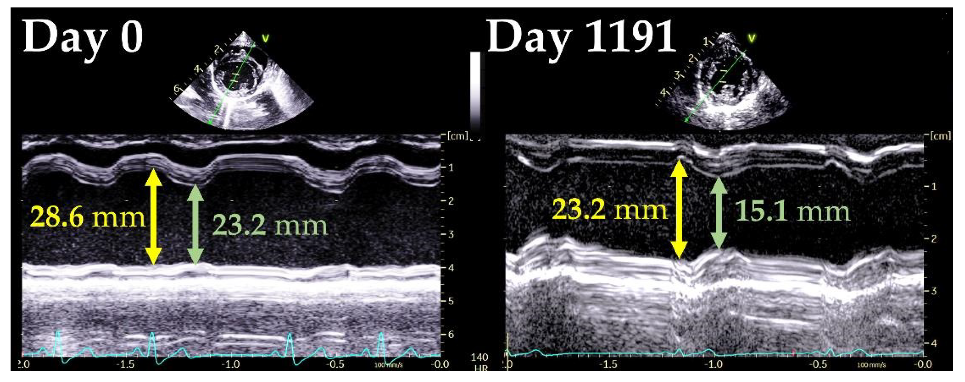 Vetsci 09 00593 g002