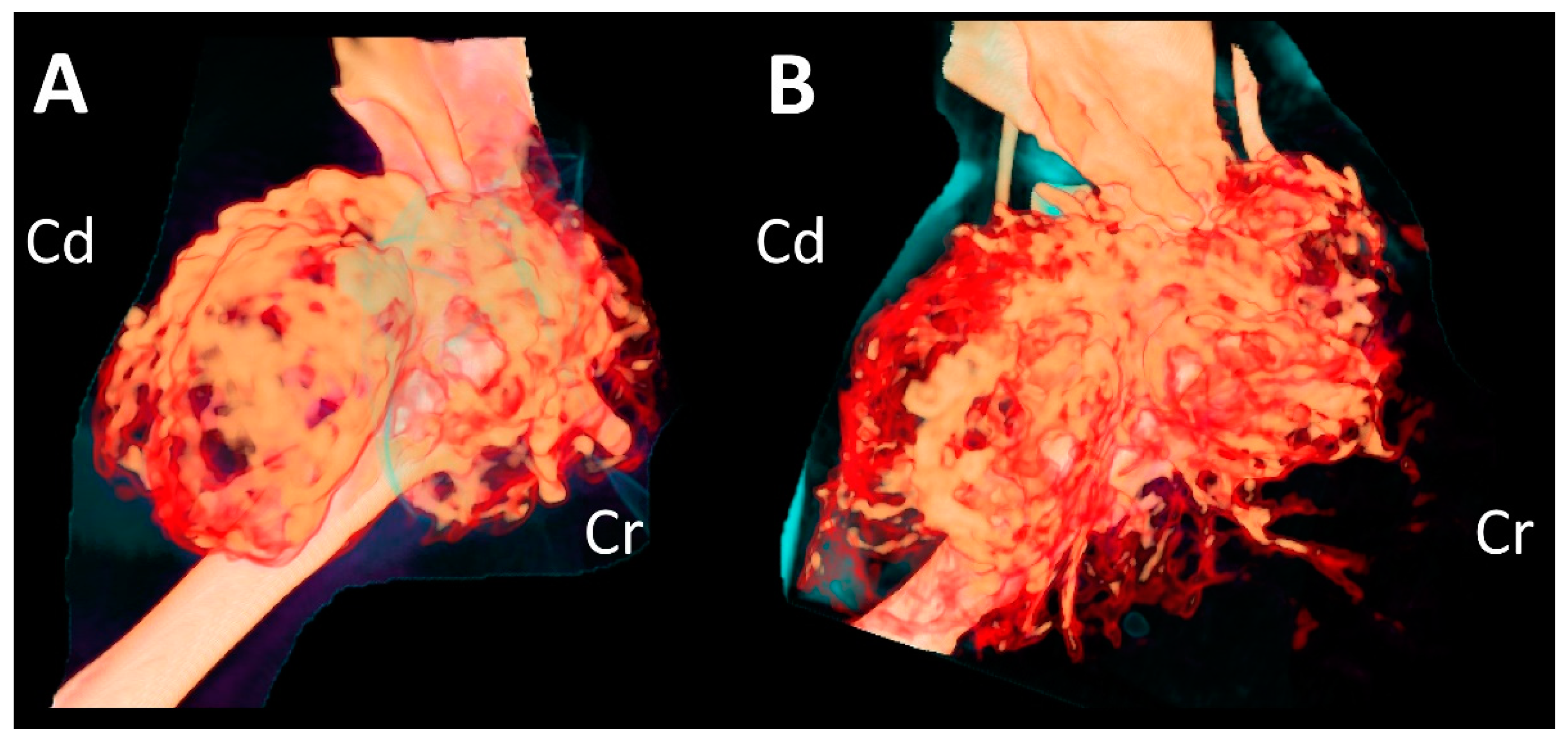 Vetsci 09 00594 g003