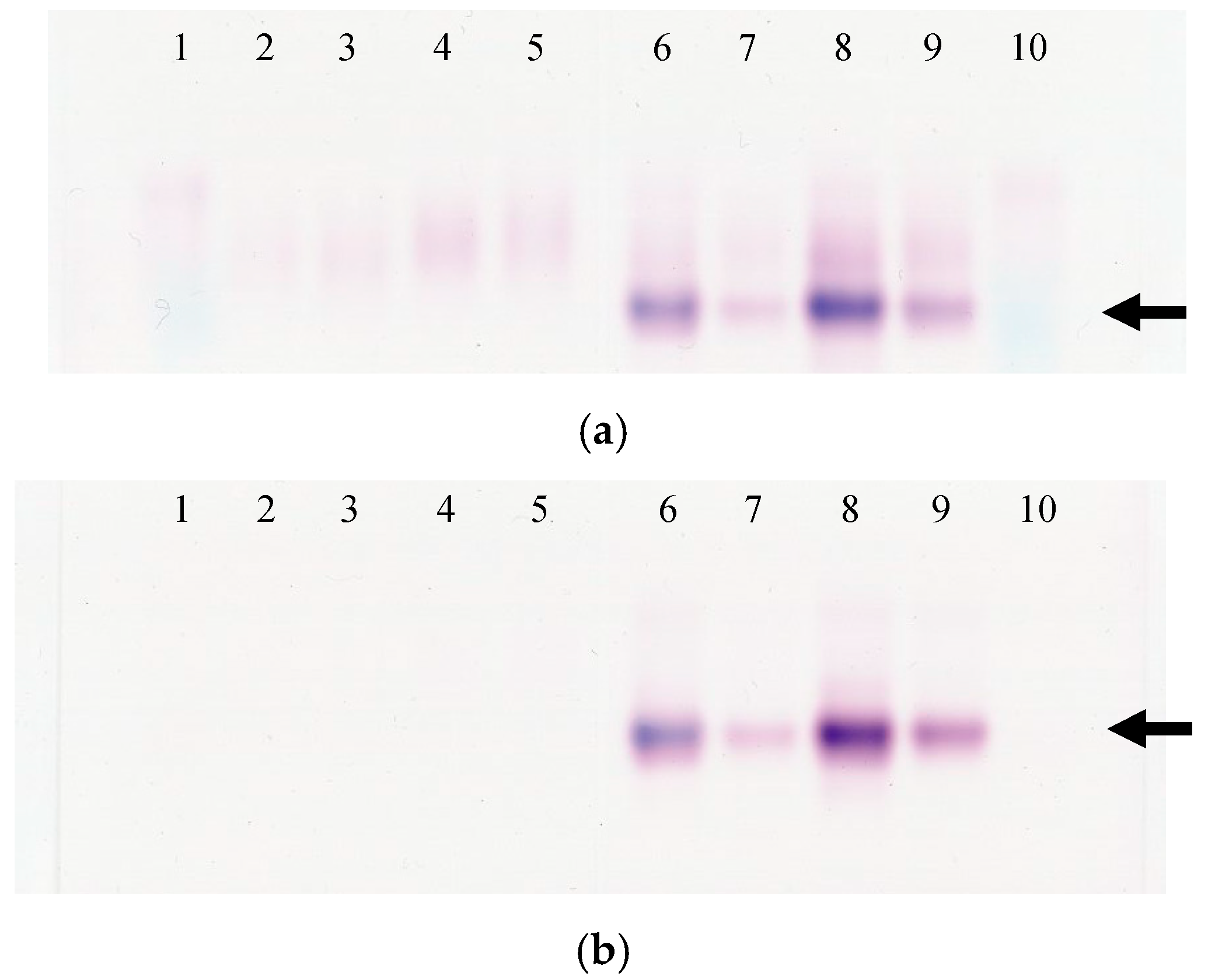 Vetsci 09 00595 g005 Vetsci 09 00595 g005