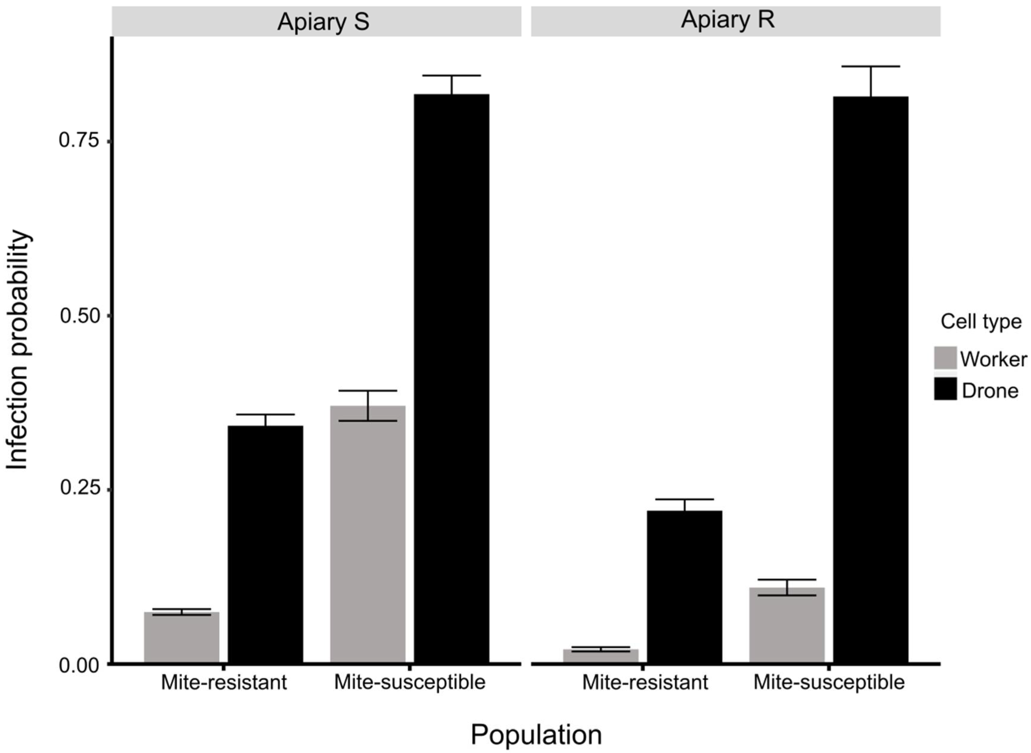Vetsci 09 00596 g004 Vetsci 09 00596 g004