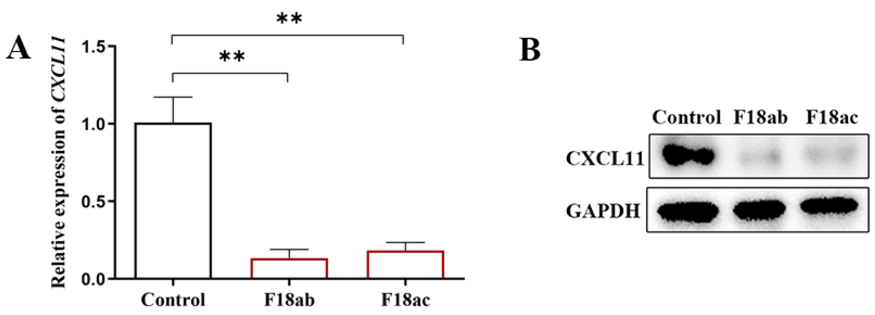 Vetsci 09 00600 g001 Vetsci 09 00600 g001