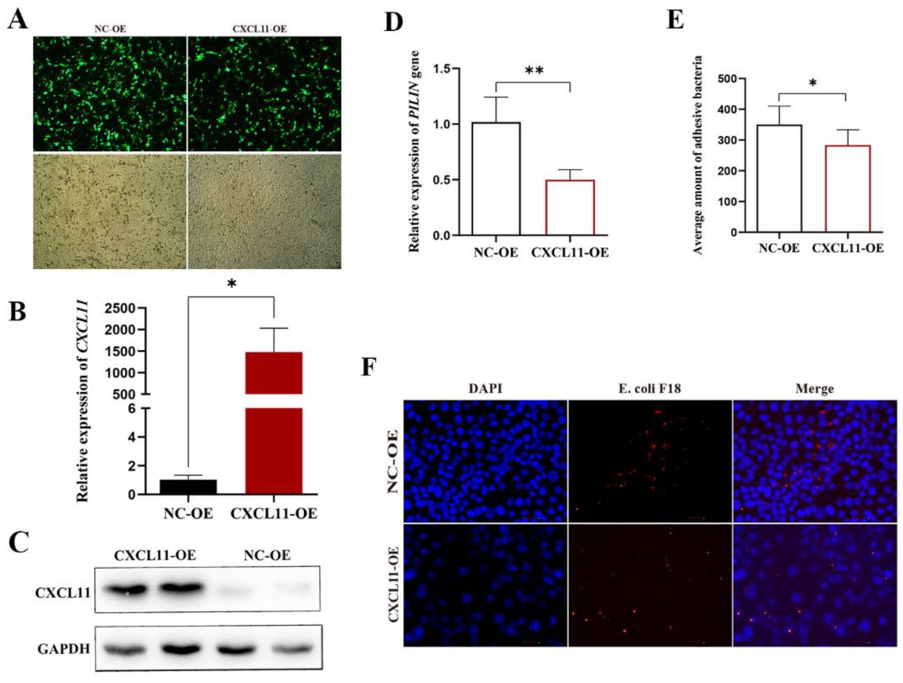 Vetsci 09 00600 g002 Vetsci 09 00600 g002