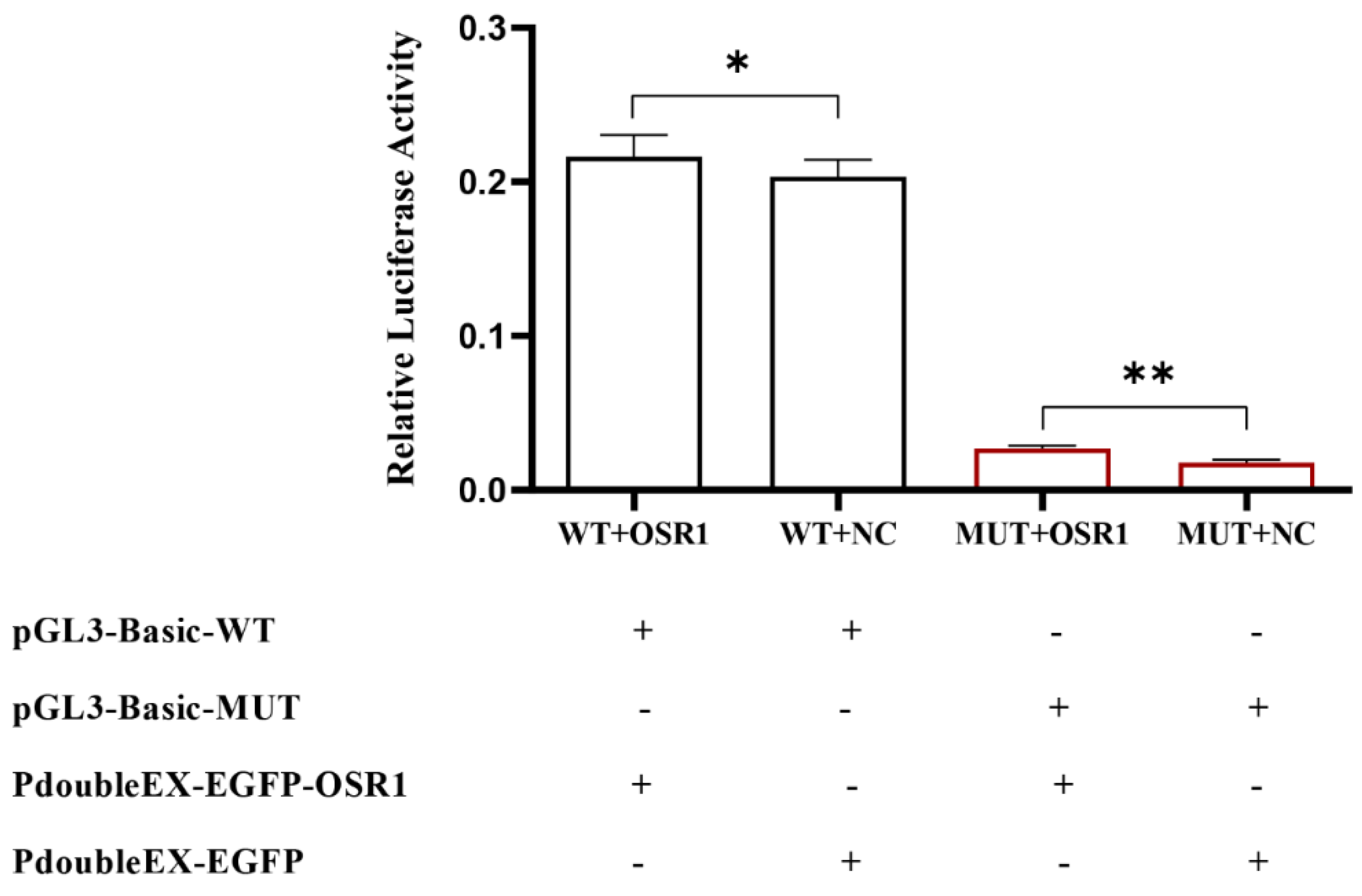 Vetsci 09 00600 g007 Vetsci 09 00600 g007