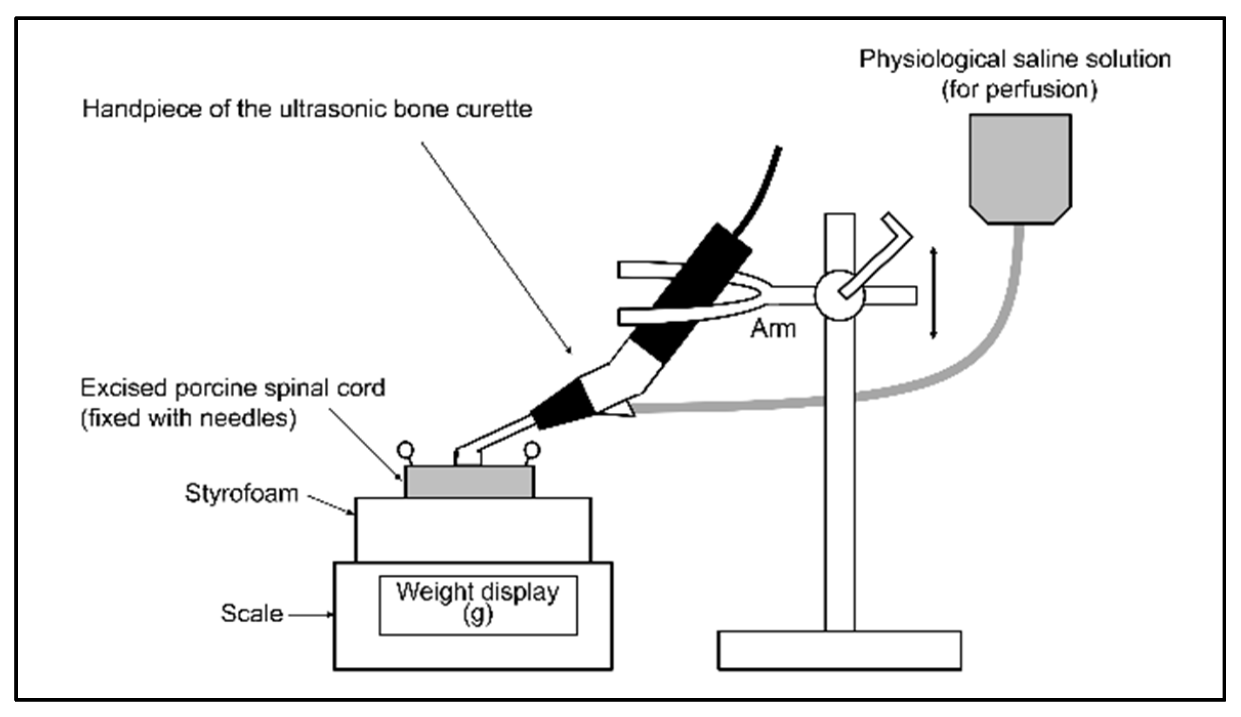 Vetsci 09 00601 g002