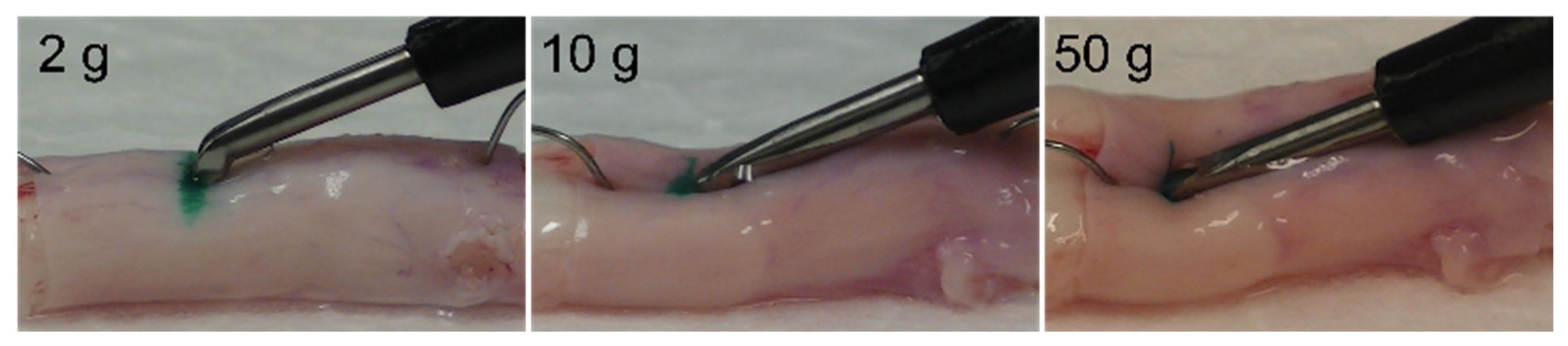 Vetsci 09 00601 g003