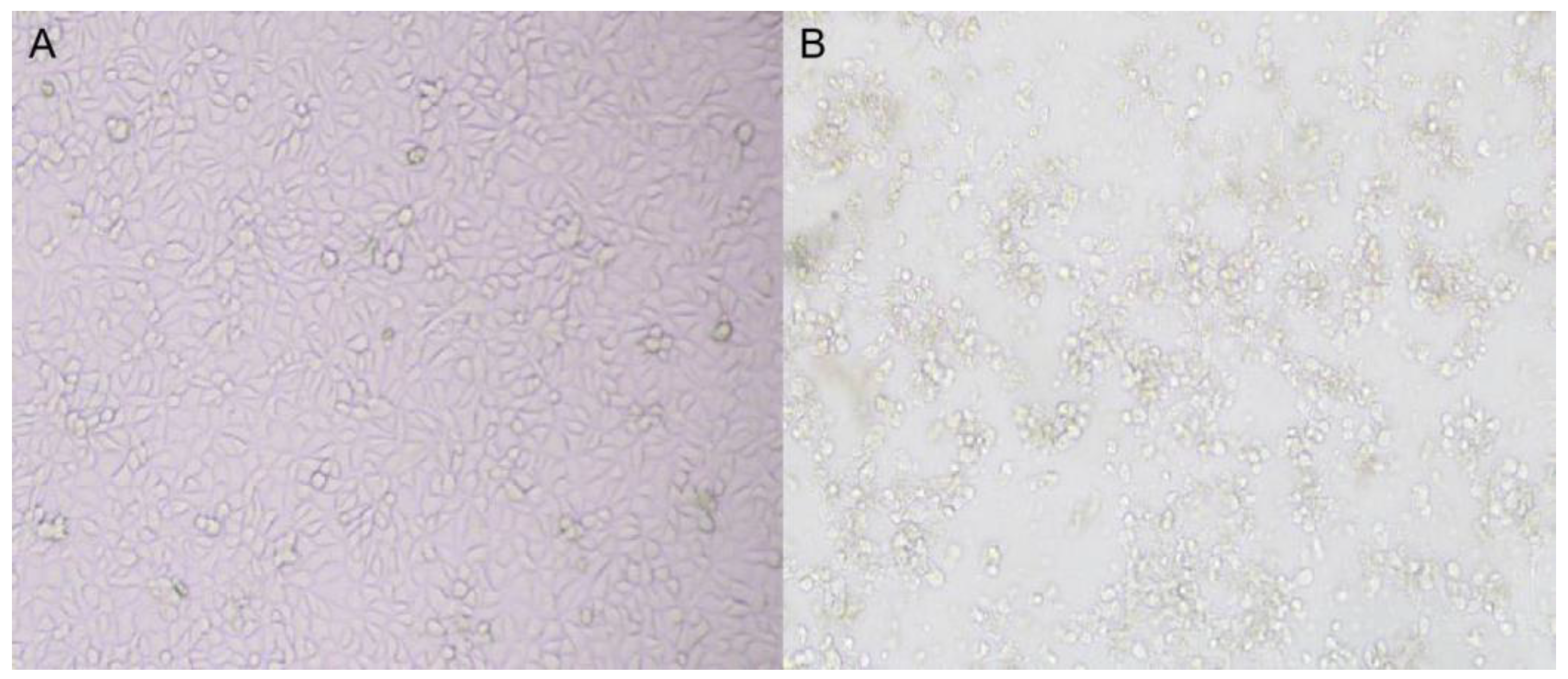 Vetsci 09 00603 g001 Vetsci 09 00603 g001